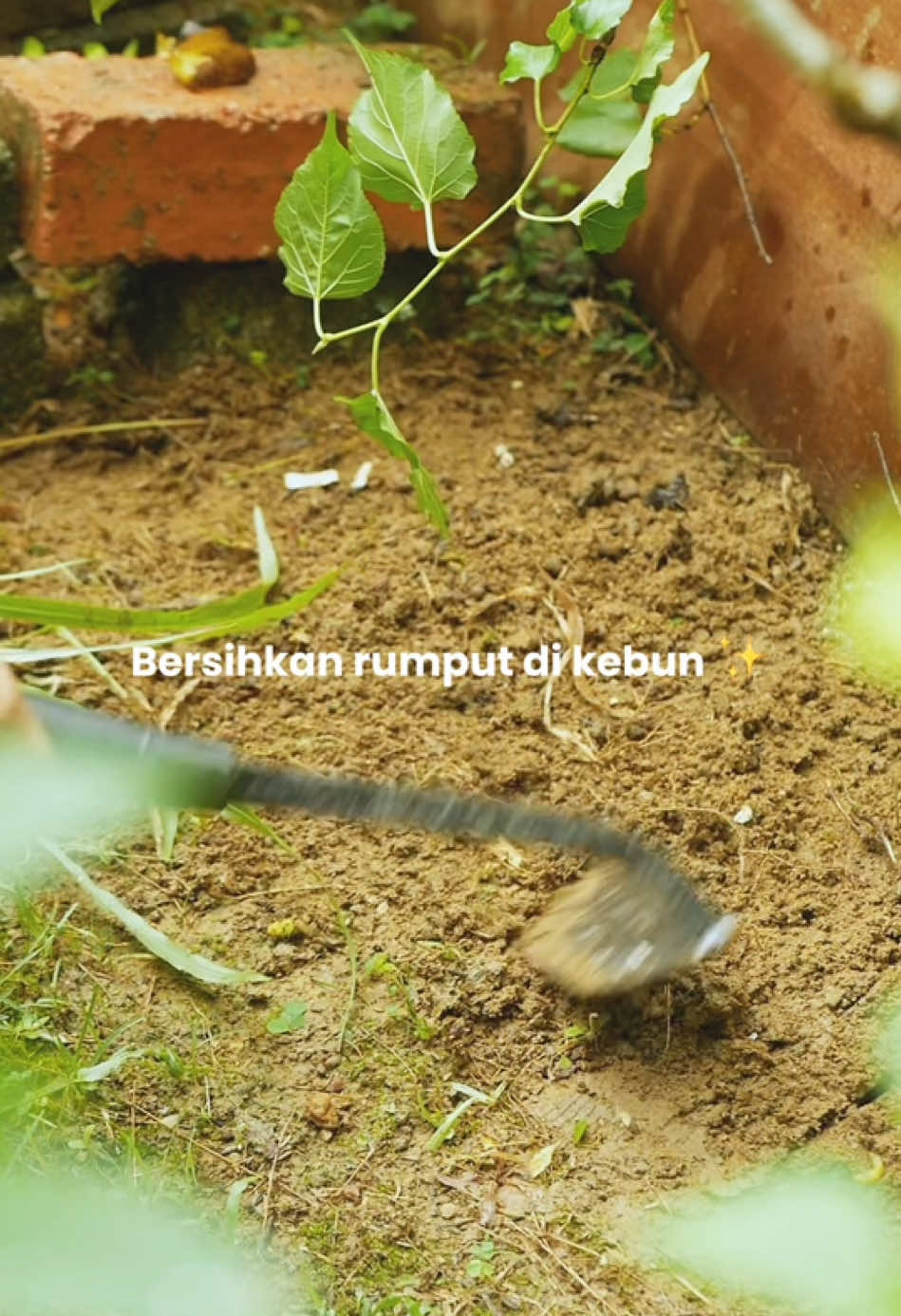 Bersihkan kebun mini ✨🫶🏻 Mudah ye guna keri/tajak ni sambil duduk je 😁 Untuk yang left-handed pun ada 🤩 #keri #tajak #kebunatasawan #berkebundirumah #gardening 