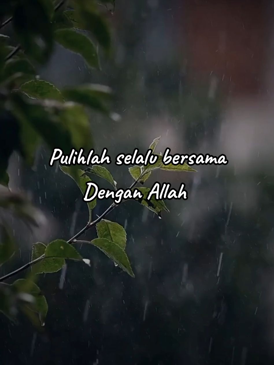 Pulihlah selalu bersama dengan Allah Simak dengan baik semoga bermanfaat Baarakallaahu Fiikum #quotes #foryou #fyp 