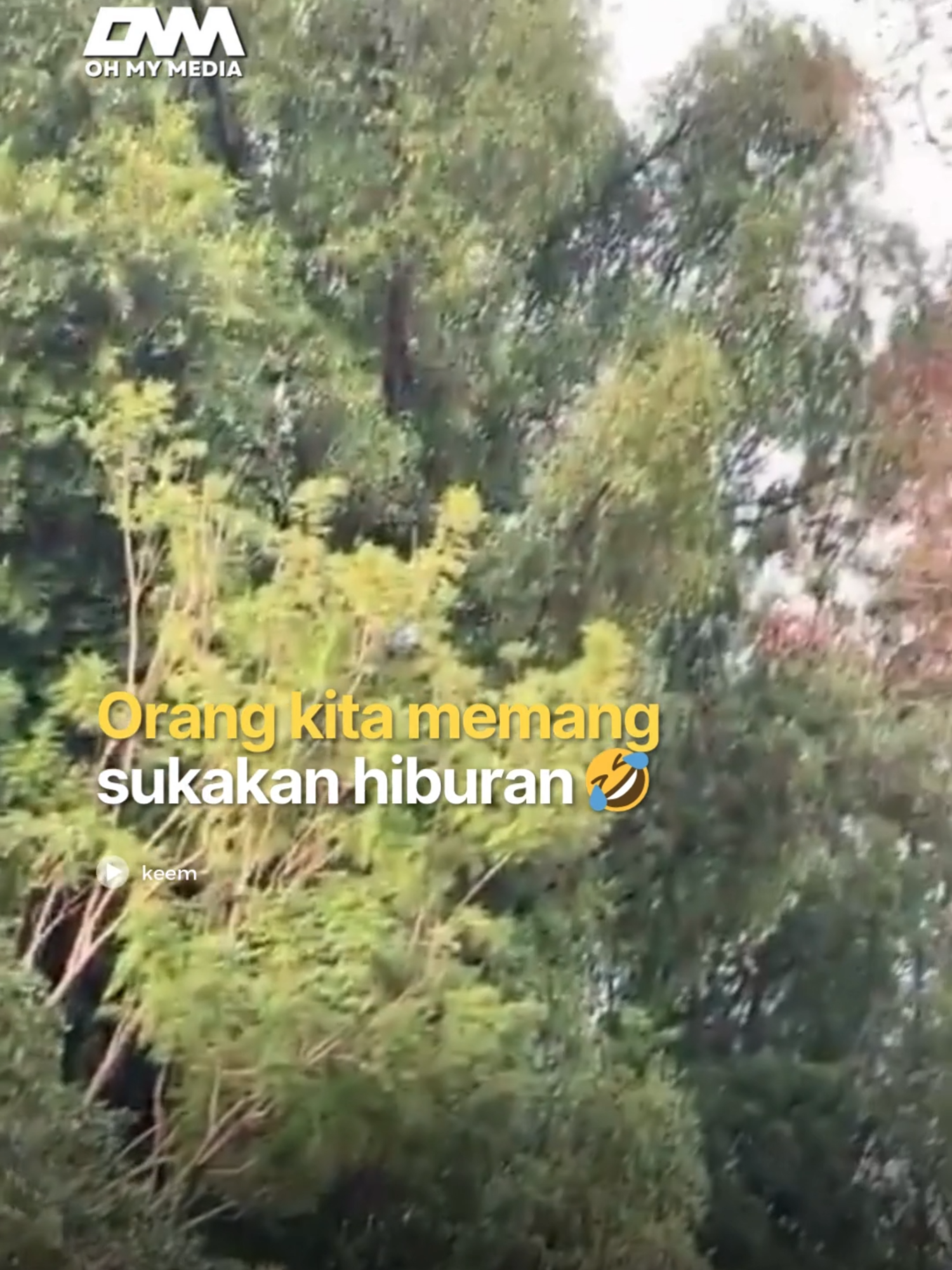 Min pun terhibur sekali tengok😆 #videoviral #ommmedia #viral #ohmymedia #ommbest #pokok #monyet