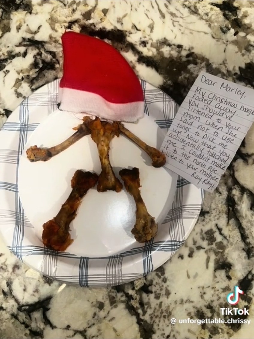 #elfonashelf #bones