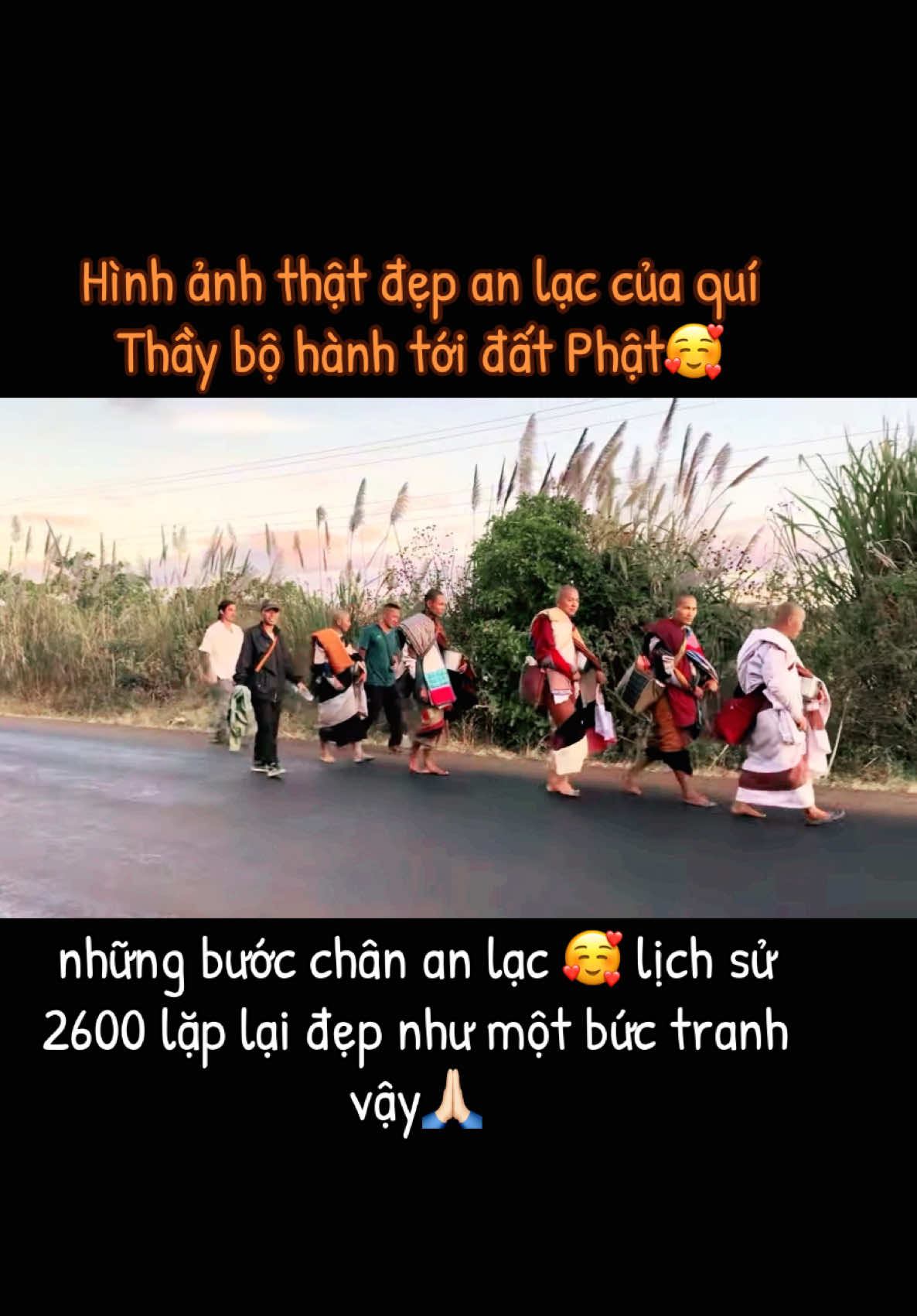 24/12 những bước chân an lạc 🥰 lịch sử 2600 lặp lại đẹp như một bức tranh vậy🙏🏻#longkadaily #thayminhtue #thayminhtuemoinhat #thichminhtue #suminhtue #minhtang #minhtri 