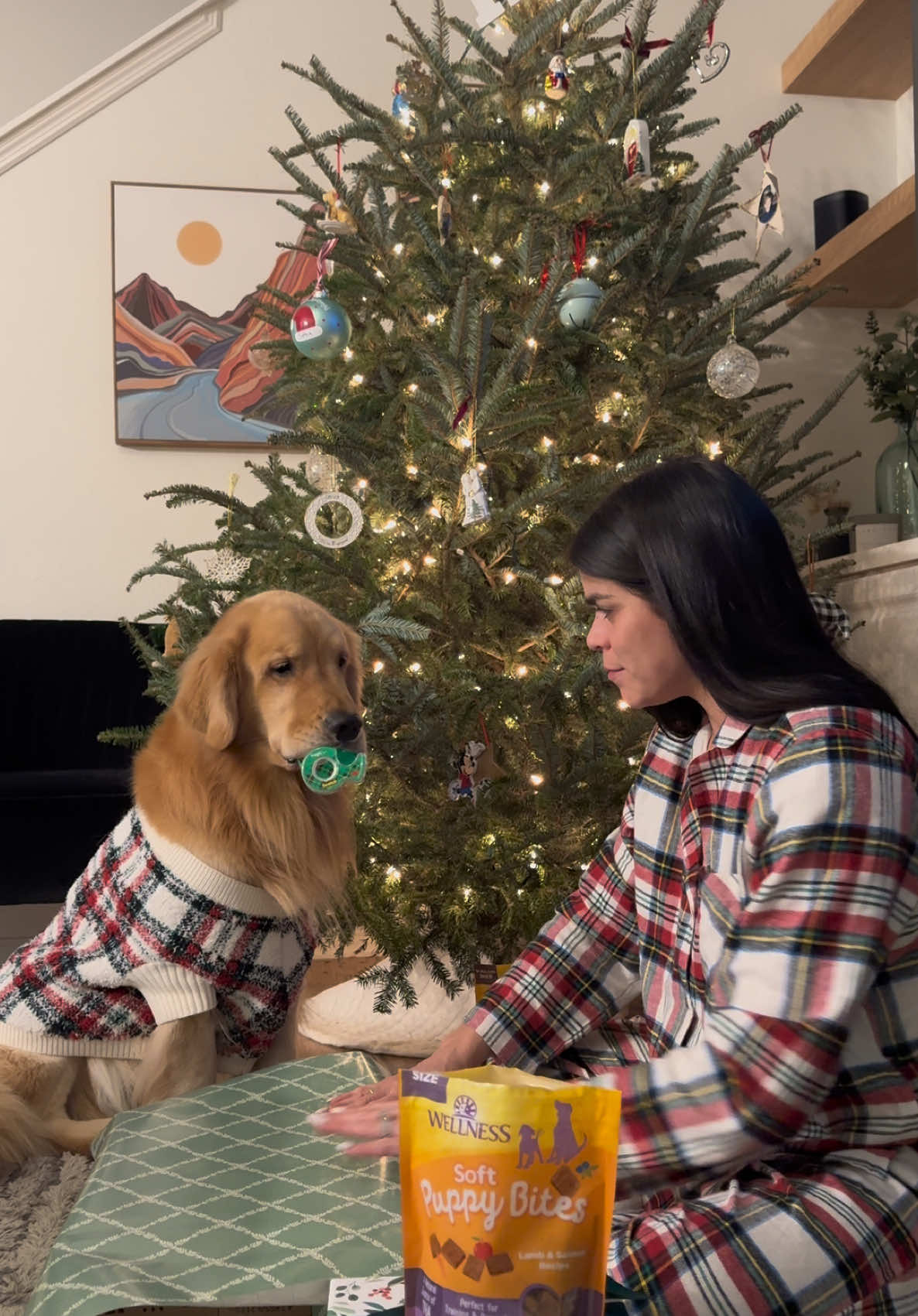 You can expect Boone's hair in the tape on all our of presents 🙃 rewarding my little helper with Soft Puppy Bites from @Wellness Pet Food ☺️🎁🎄 #wellnesspet #wellnesspetfood #treats #christmas #goldenretriever #dog 