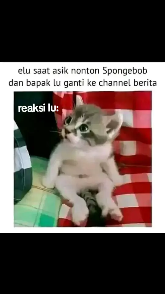 dan ya, benar sekali#fyp#fypシ #fypage #meme #kucing #kucinglucu #xybca 