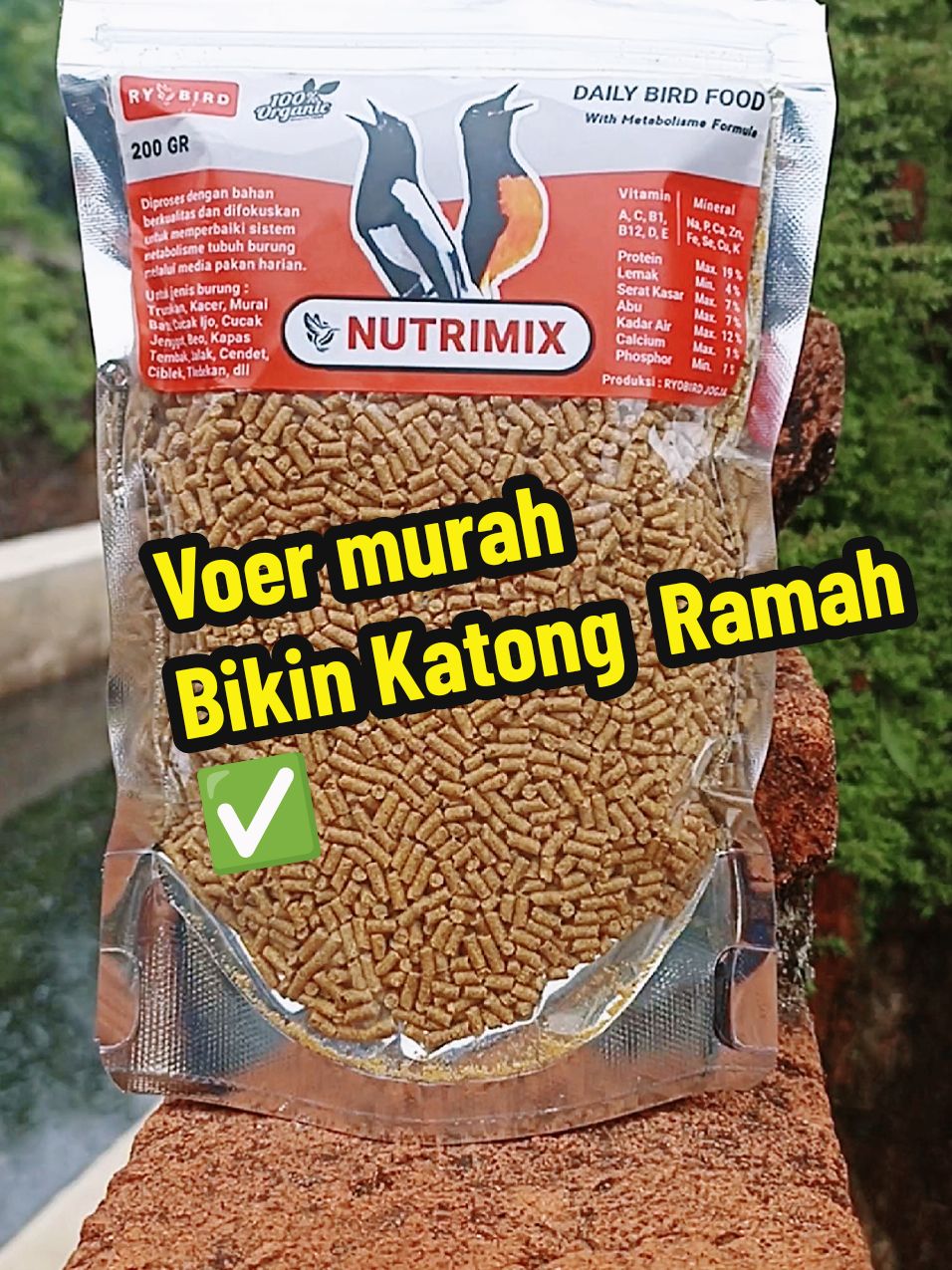 voer nutrimix dirancang khusus untuk burung kicau, vitamin dan nutrisi yg pas mantab #voernutrimix #nutrimix #voernutrimixkuning #ryobird #pakanburung #voerburung #voerburungmurah #voerburungjuara #voermuraibatu #voerkacer #wibgajian #yearandsale #promoguncang11 #gilagilajualan #cuantanpabatas #kicaumania #kicaumaniaindonesia #kicaumanianusantara 