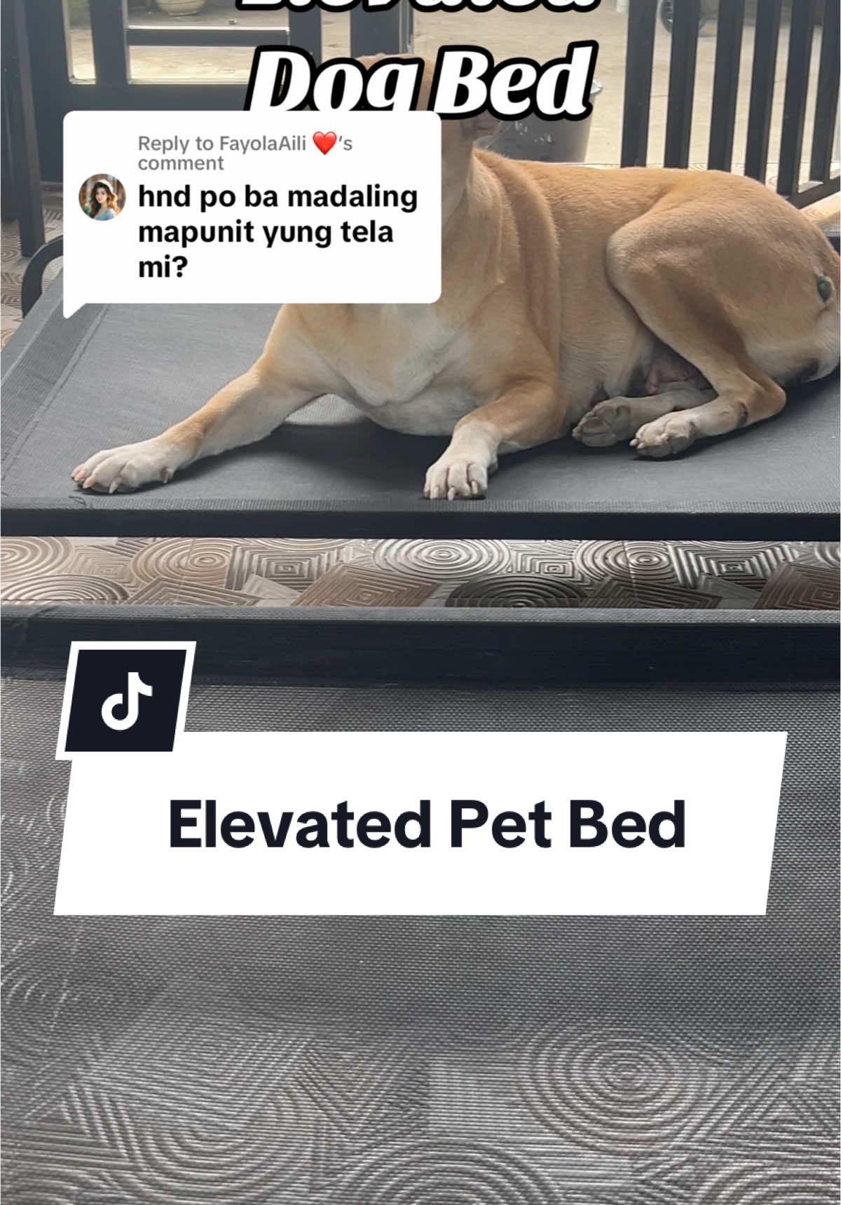 Replying to @FayolaAili ❤️ large elevated pet bed #petbed petbed #dogbed #largedogbed #elevatedpetbed #bedfordogs bed for dogs 