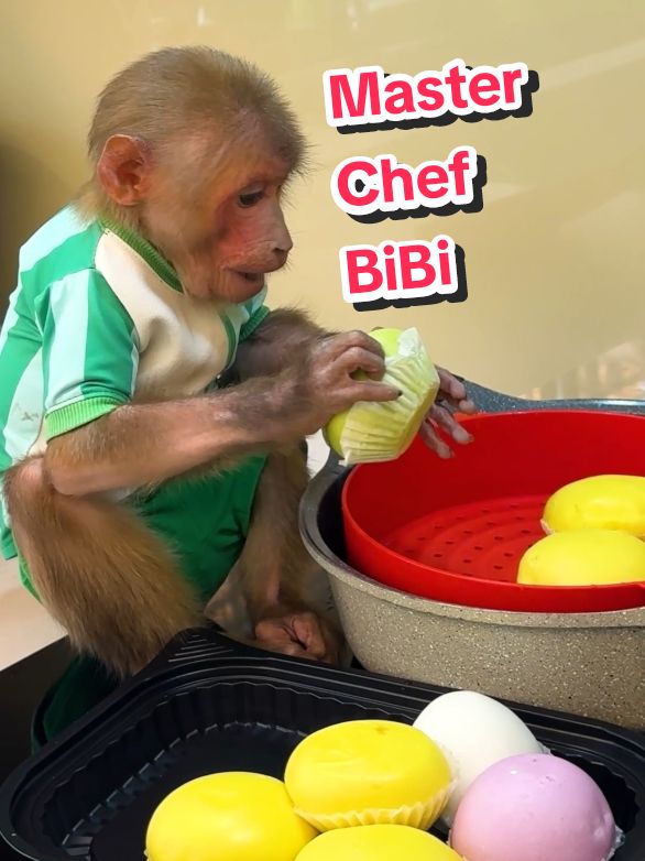 Smart BiBi. Self-steaming dumplings. #BiBimonkey #MonkeyBiBi #BiBifamily #animalcutes #animal #babymonkey #monkeybabi #pest #bibiandmom #bibiandlala #monkeydluffy #monkey 