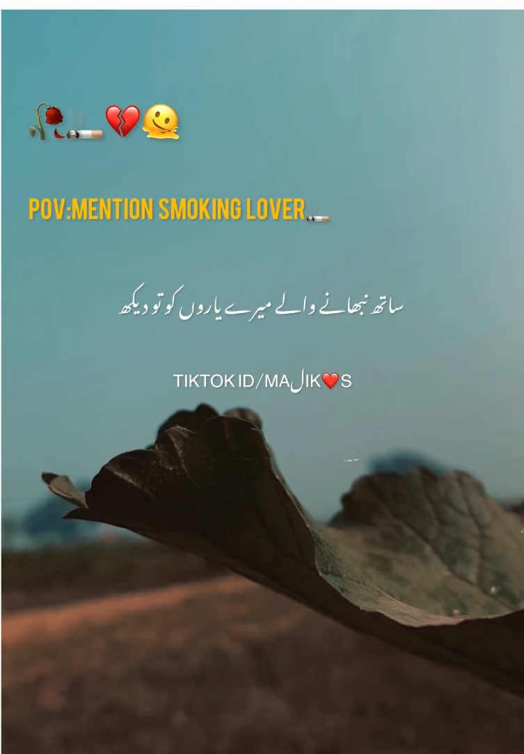 𝑴𝒆 𝒕𝒐 𝒎𝒚 𝒇𝒂𝒗𝒕 𝒑𝒆𝒓𝒔𝑶𝒏 💗🌸💐🥀🌎🐼🥀🔐🦋🫀#viral #video #grow #account #foryou #foryoupage #poetry #urdupoetry #aesthetic #mk_vibes4 #maلik❤️s