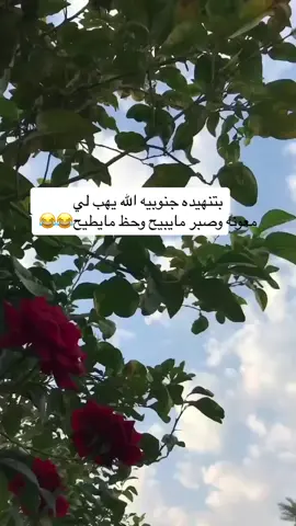 بتنهيده جنوبيه الله يهب لي                                      معونه وصبر مايبيح وحظ مايطيح😃😃👏💐
