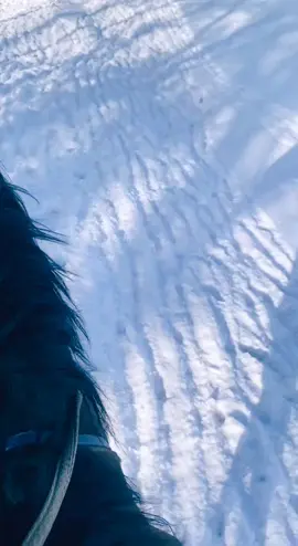 😍🐎