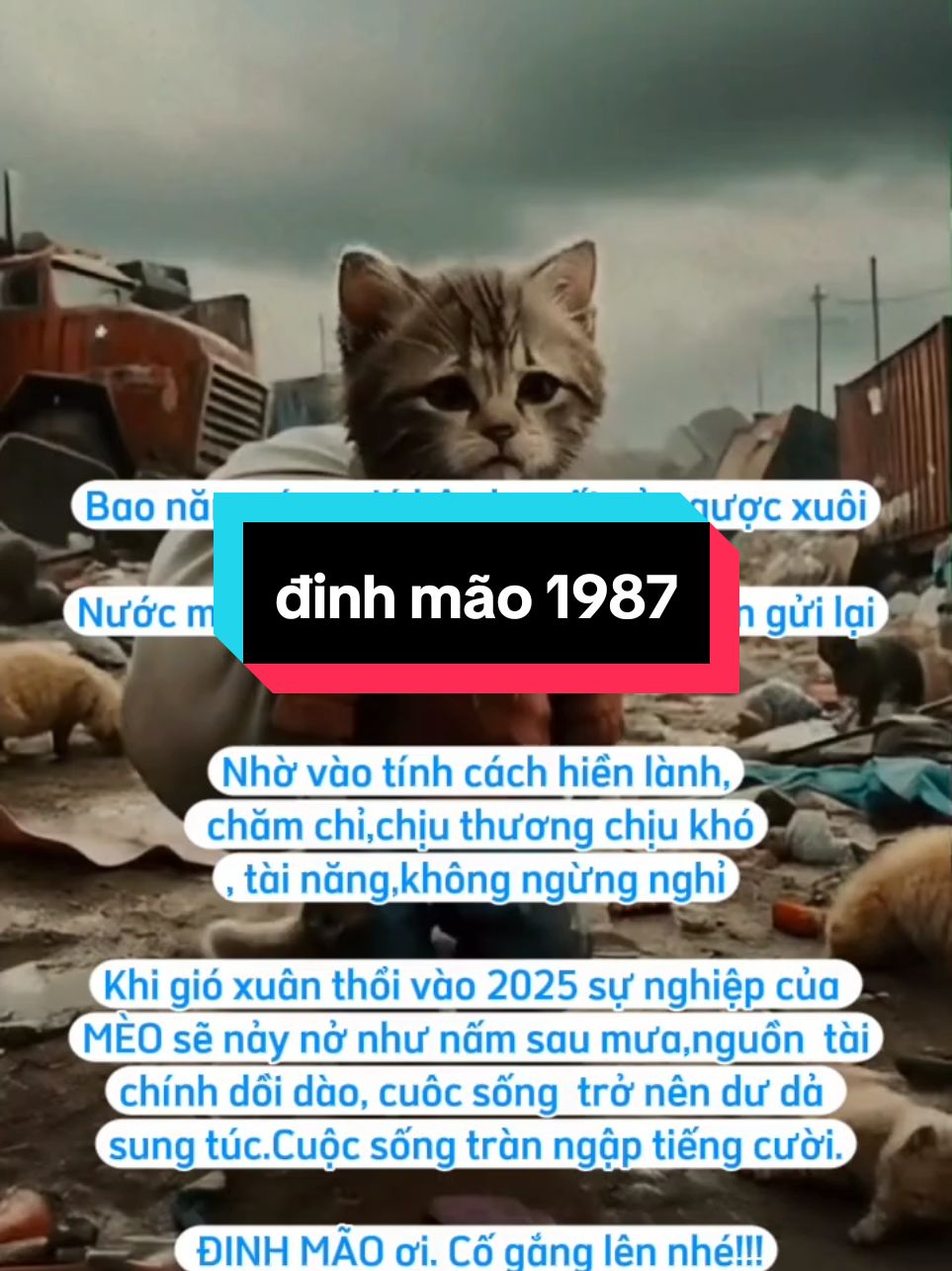 đinh mão cố lên nhé#dinhmao1987 #viraltiktok #anhthư #12congiap 