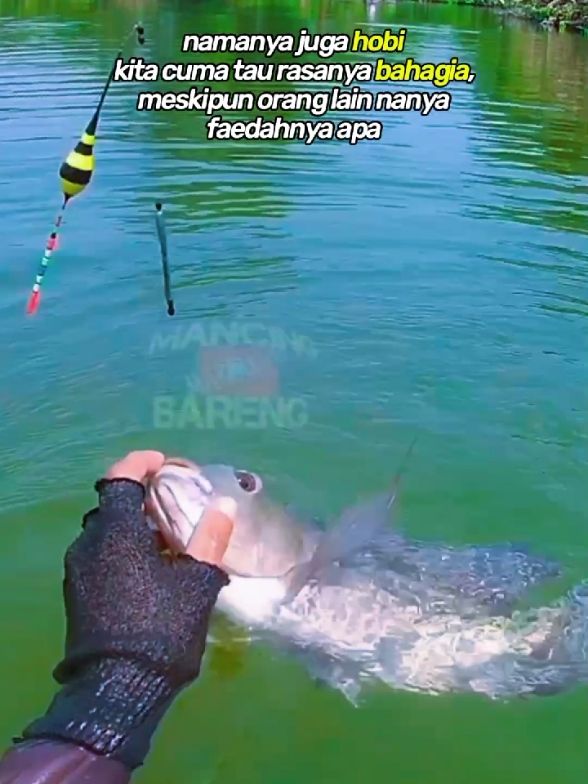 bahagia kita yang rasakan bes🎣 bukan oranglain #swmancing  #storymancing  #mancingmania 