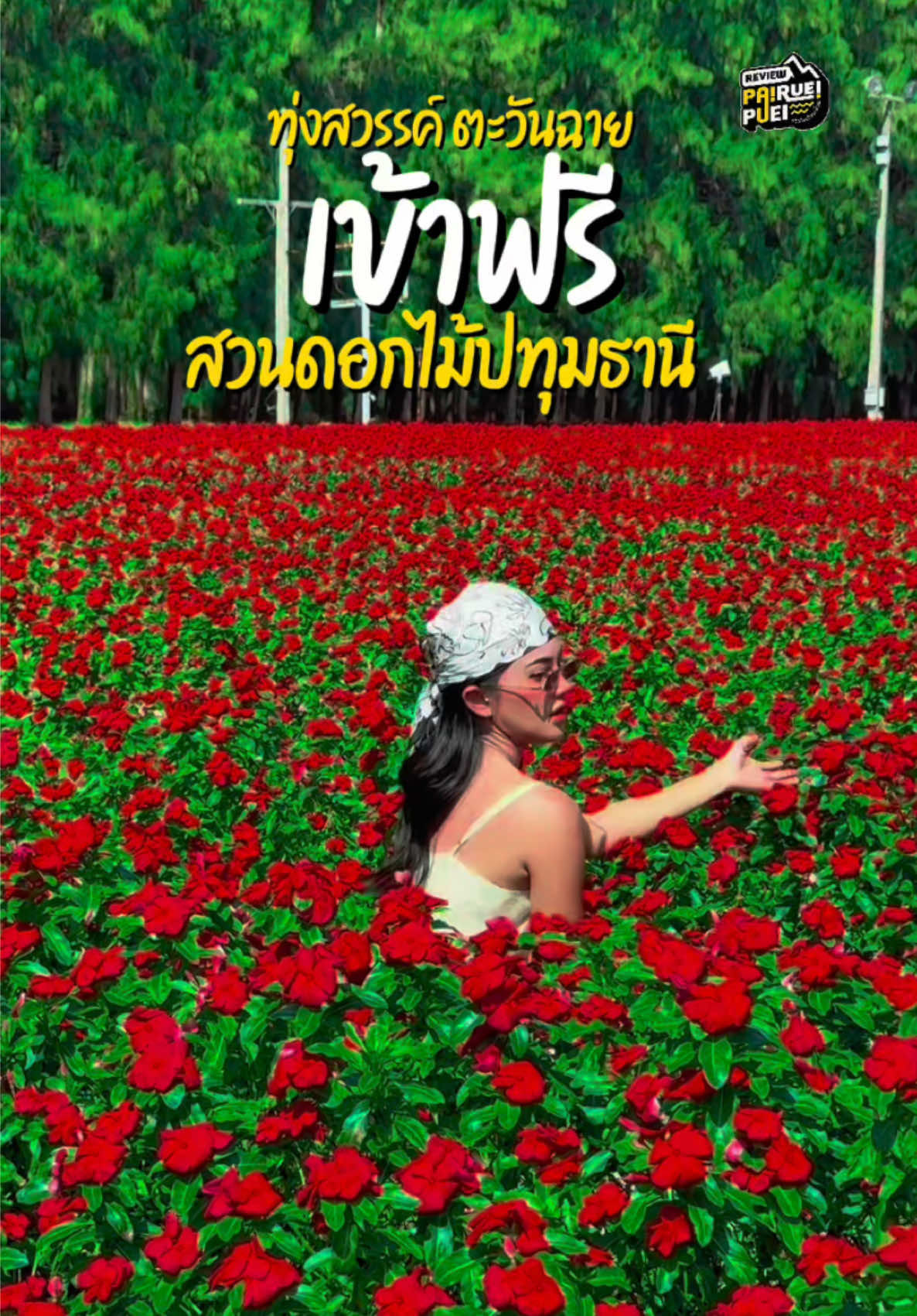 #เข้าชมฟรี 🌹🌺🌷สวนดอกไม้ใกล้กรุงฯ 🌸🌼🌷 ที่ทุ่งดอกไม้ปทุมธานี เปิดแล้ว แปลงใหญ่สีแดง มีร่มให้ยืมฟรี มีน้ำดื่มให้ทาน เวลา: 08.00 - 17.30 น. พิกัด  ณ สวนทุ่งสวรรค์ ตะวันฉาย วัดพระธรรมกาย #ทุ่งสวรรค์ตะวันฉาย #สวนดอกไม้ปทุมธานี #ทุ่งดอกไม้ #ถ่ายรูป #ดอกไม้สวยงาม #เที่ยวปทุมธานี #เที่ยวสวนดอกไม้ปทุมธานี #ท่องเที่ยวไทย #ปทุมธานี #TikTokStorytime #ปีใหม่2025  #Localserviceชิงมง  #เทรนด์วันนี้ 