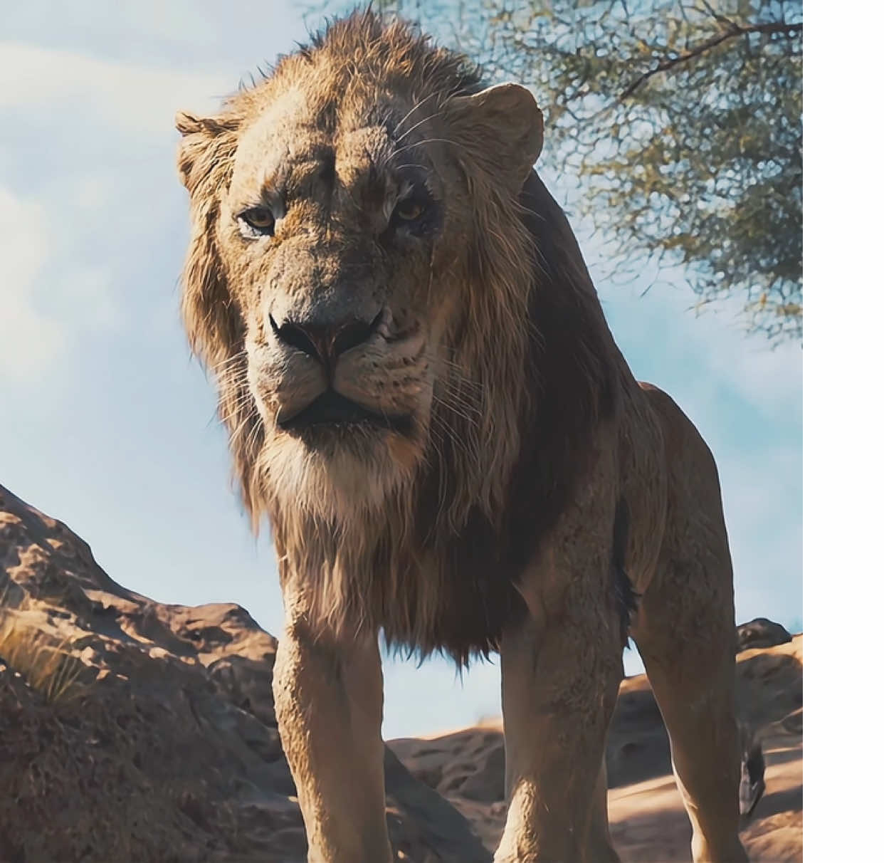 Disnney’s biggest villain is finally on board#thelionking #scar #mufasa #simba #edit 