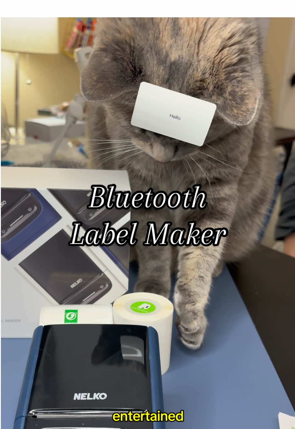 When organizing meets cat-approved chaos. 🐱 This label maker keeps me productive and Tink entertained—double win! Who needs extra rolls when they’re a built-in cat toy? 😹  #LabelMakerFun #CatAdventures #OrganizingWithPets #TikTokMadeMeBuyIt #PetApproved #CatContent #PetFriendlyFun #OrganizationGoals #BluetoothLabelMaker #SelfCare #grwm #elevateyourhome #treasurefinds #sunsetsavings #treasurefinds #seasonalessentials  #selfcarefinds #makecozyhomeaffordable #gift #giftideas #giftguide #treatyourself #tiktokshopholidayhaul #starcreatorcompetition #holidaycreatorsummit #TTSLevelUp #unboxing #shopping#dealhunting #blackfridaydeals #travelinspiration #spotlightfinds #ttsdelight #holidayhaul #newyearnewaura #selfcarefinds #mademyyear #tiktokshopcreatorpicks 