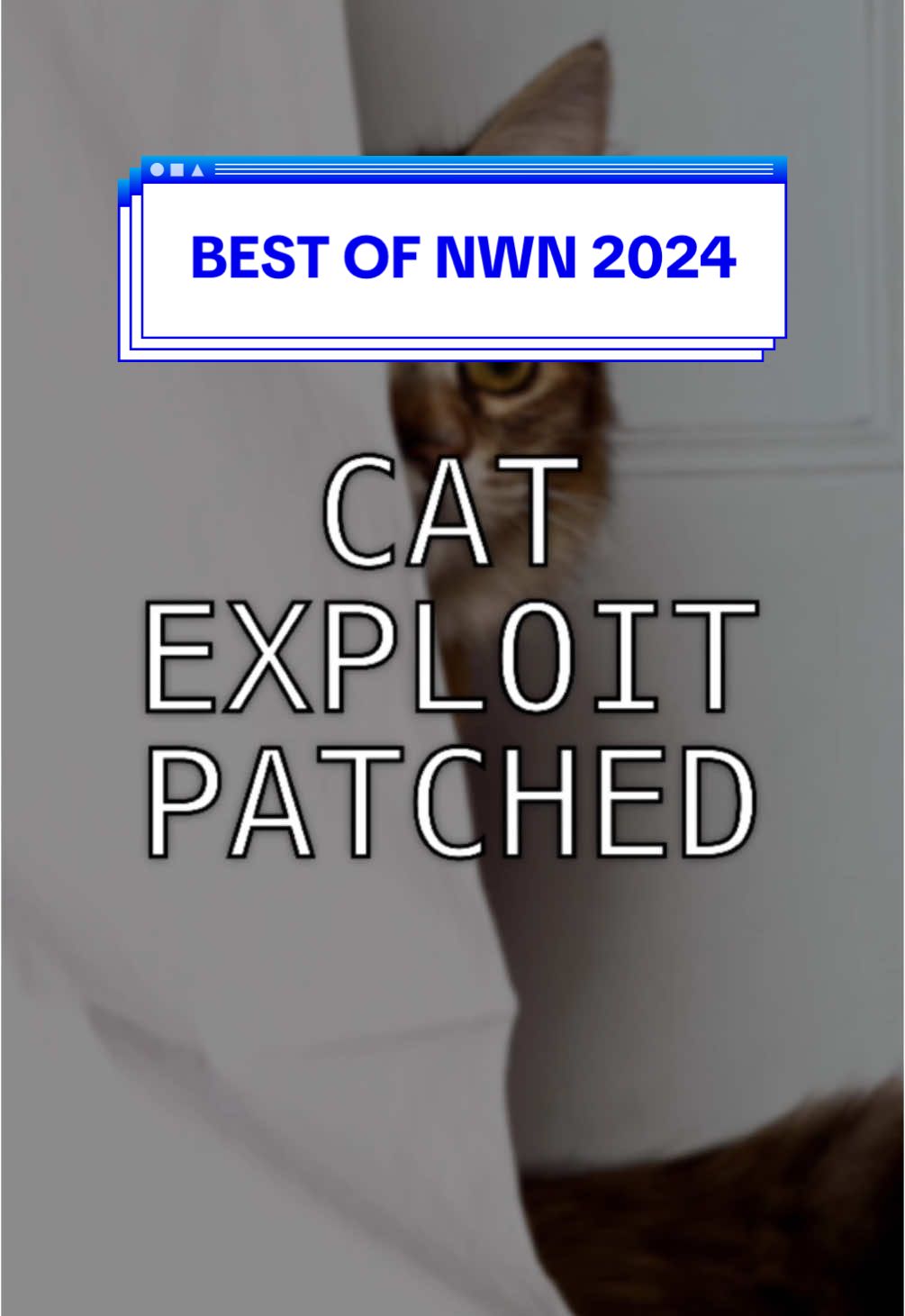 Best of NWN 2024 - The Cat Void #nextweeknews 