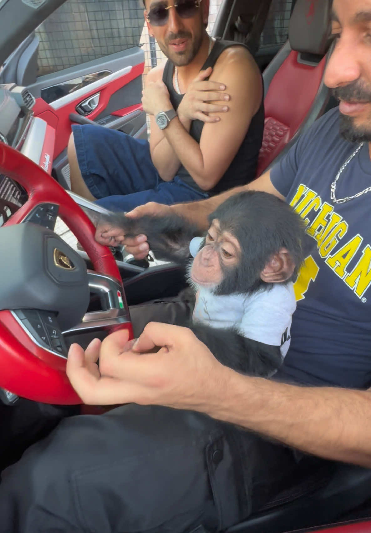 Kiky Drive Lamborghini!! 🐵😍 #drive #urus #lamborghini #supercar #fyp #baby #monkey #loveyou #daddy #nordineduzoo #albuqaishprivatezoo #chimpanzee #dadandson #dubai #sharjah #zoo 