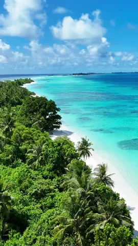 Dhigurah 😍🌴
