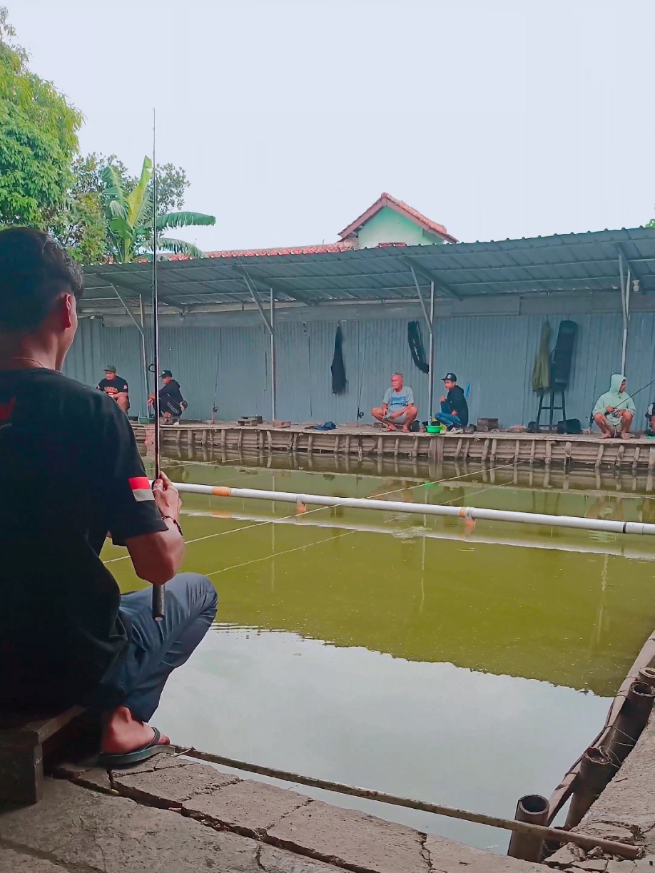 Pelan-pelan saja🎣 #mancing #mancingmania #hiburan #videomancing #CapCut 