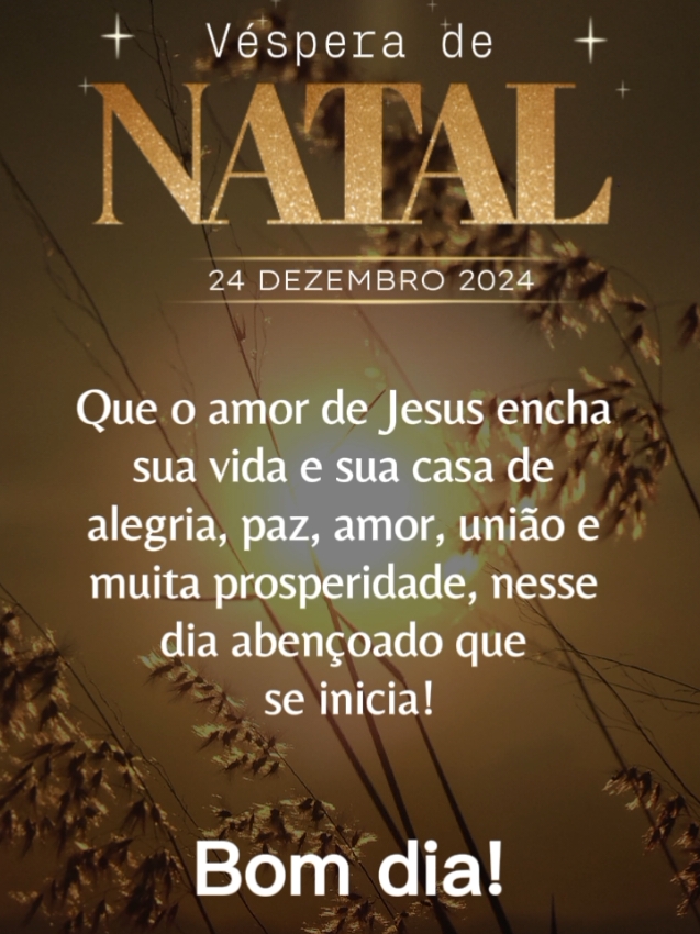 Feliz natal a todos os meus amigos e colegas do tik tok! Lembrem-se Jesus é a verdadeira essência do natal...✨️🤍📖 #Motivacional #reflexaododia #CapCut #amormaior #jesus #feliznatal 