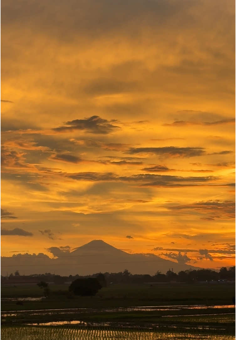 Musim rendeng wis mulai cah siapno kesehatanmu ojo sampe loro🌅☕️