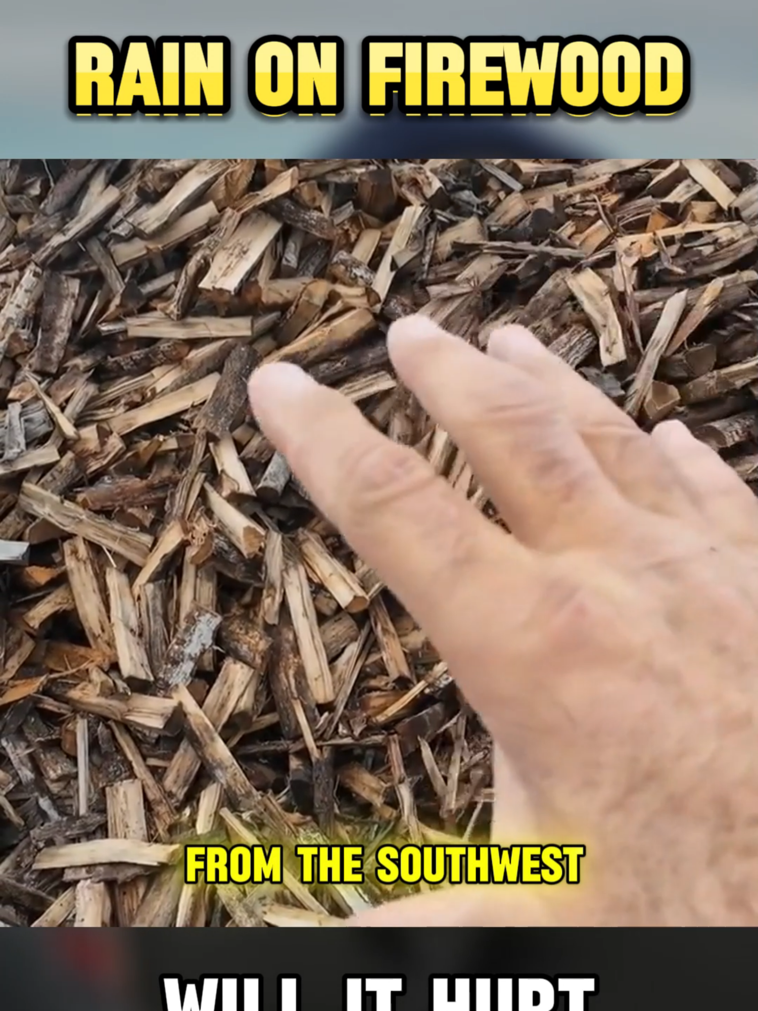 (2/3)#firewood #woodstove #woodstack #fireplace #offgrid #homestead #rain #woodstorage #splittingwood #oakwood #maplewood #pearwood #homesteading #hearth#wet #wood DRY FIREWOOD....WILL RAIN HURT IT?!