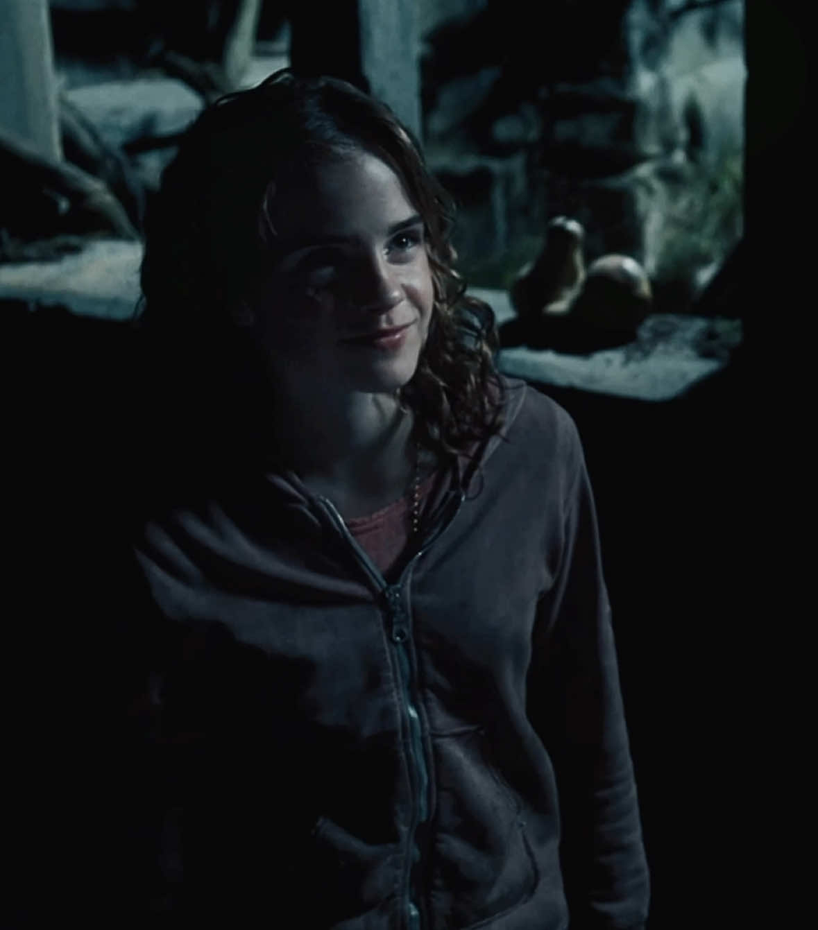 hermione jean granger, the brightest witch of her age #harrypotter #hptiktok #hogwarts #hermionegranger #ronweasley 