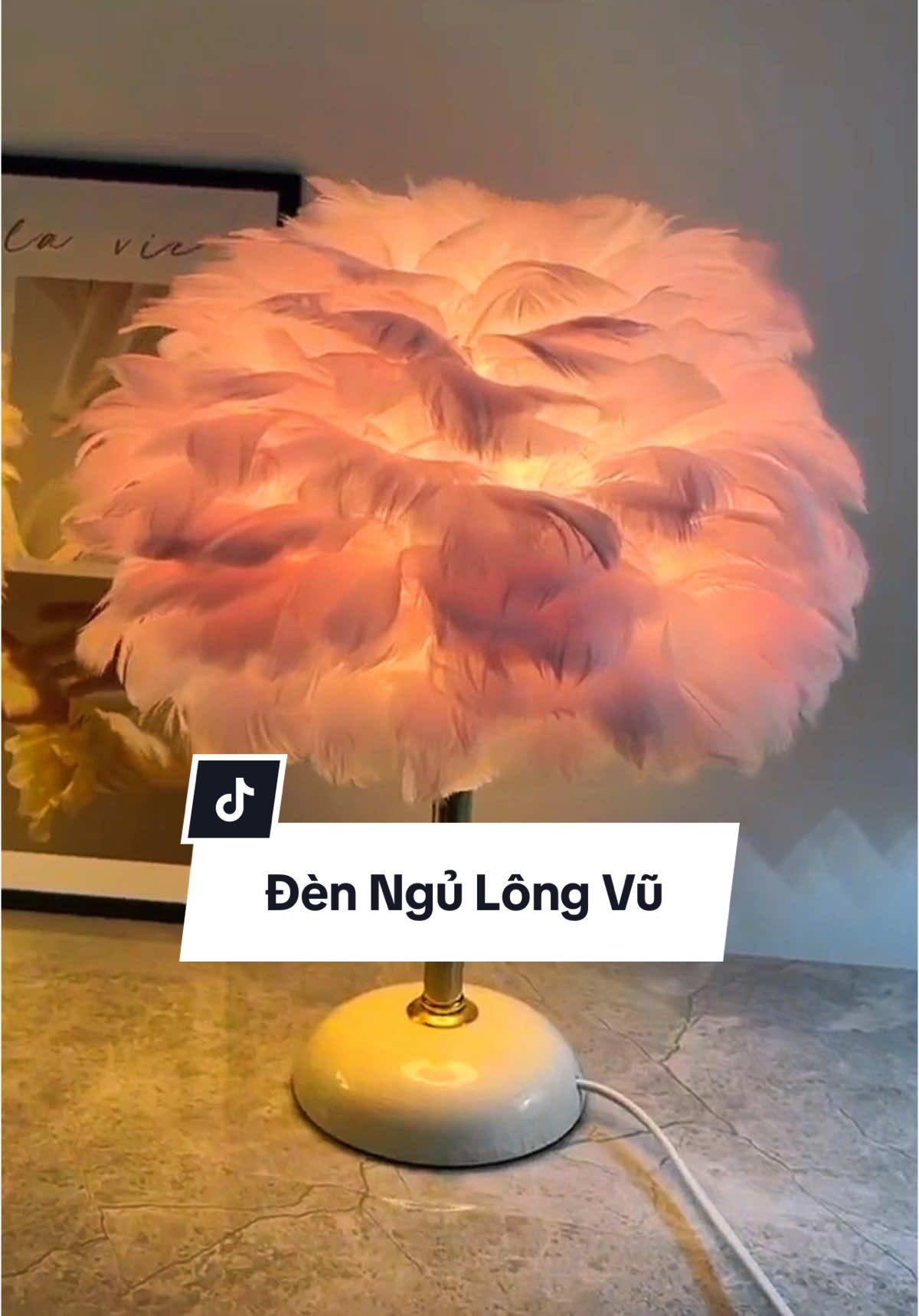 Đèn ngủ lông vũ #dogiadung8k #decor #denngu #dentrangtri #dogiadung #xuhuong #fyp 