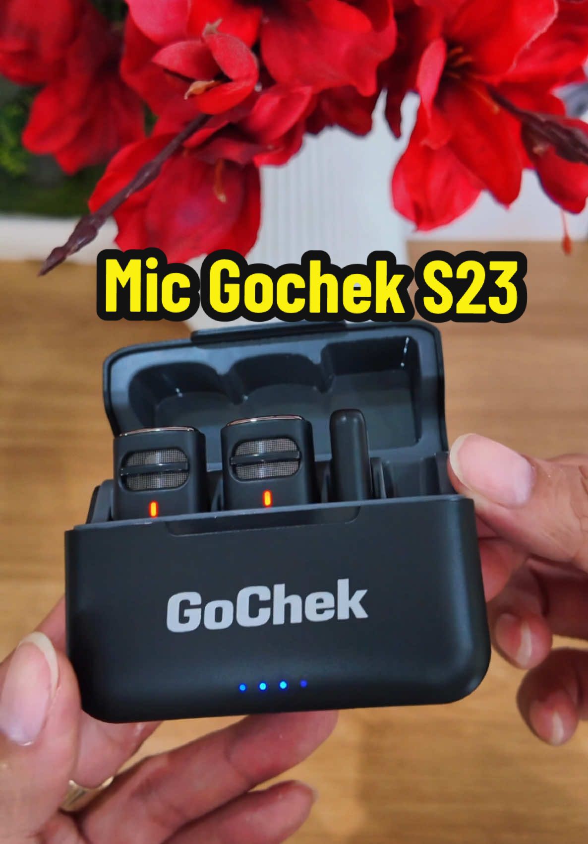 Mic mới Gochek S23 #mic #micthuam #micgocheks23 #micgochek #lethientrieu79 #xuhuong 