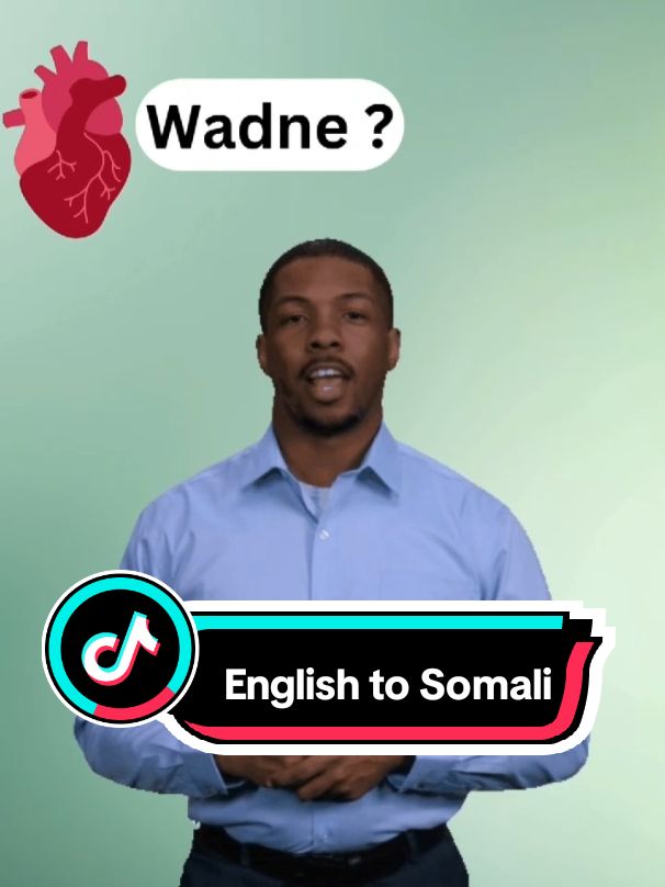 learn English to Somali  #Englishtosomali #somalitoenglish #baroenglish #learnenglish #englishtips 