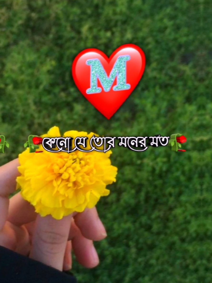 🥀😅 কেনো যে তোর মনের মতো হইতে পারলাম না 😥😓 #vairal_video_tiktok #2milionviews✌️💯 #__letter__edit__official #bdtiktokofficial #unfrezzmyaccount #plzunfrezemyaccount @TikTok Bangladesh @TikTok @TikTok for Business SEA @#foryou