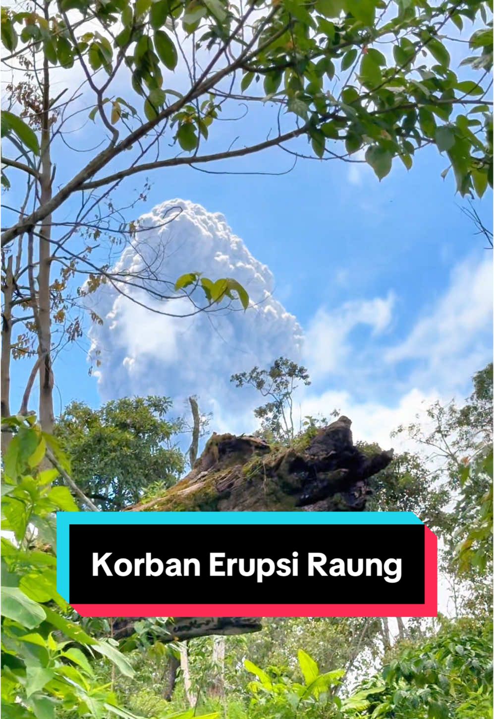 Mau closingan malah kena erupsi #gunungraung3344mdpl #gunungraungerupsi #pendakigunung #pendakiindonesia #fypシ #foryourpage #fypage 