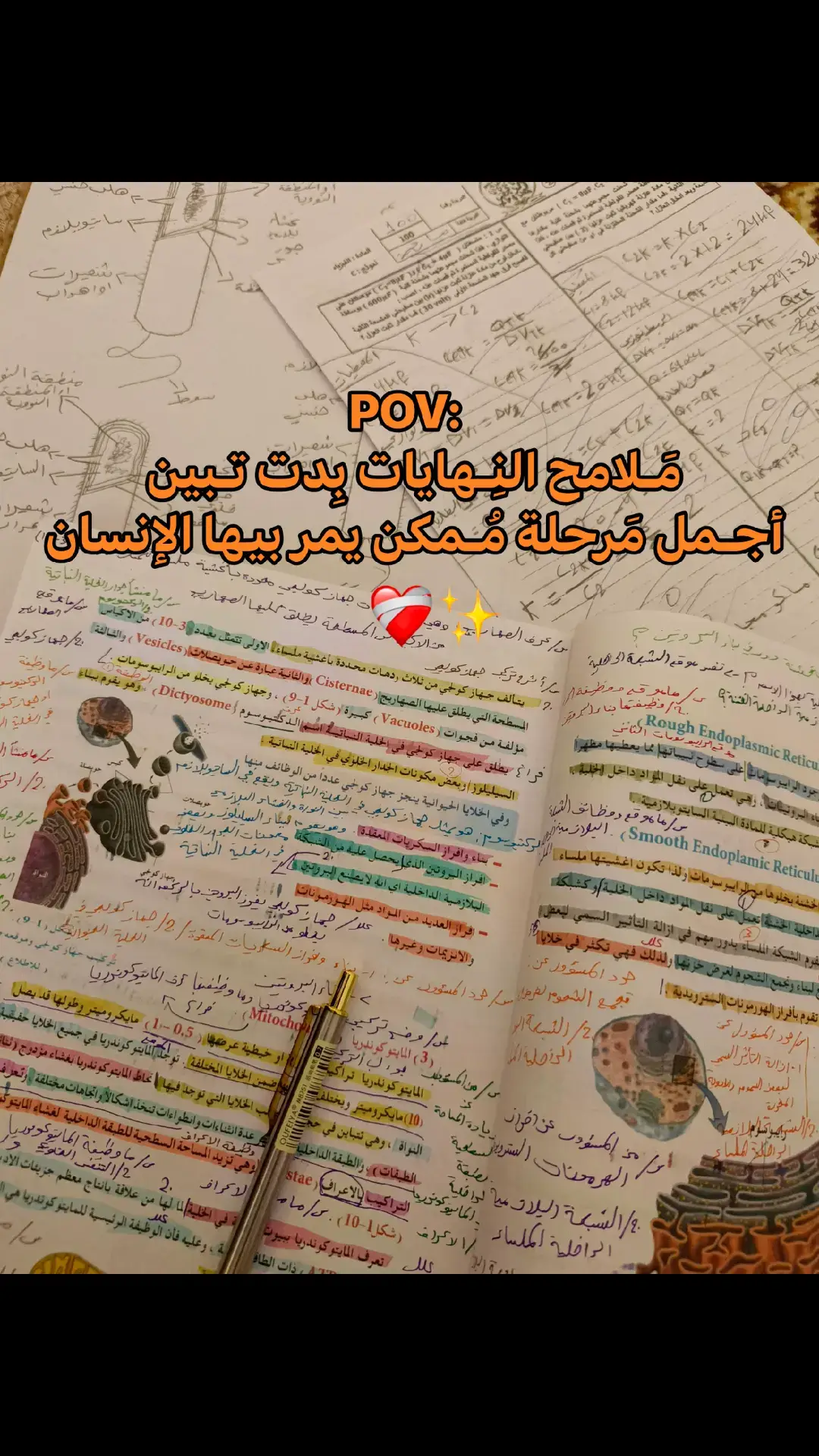 مـا وِدي يخـلص السَادس 😞.  #السادس_الاعدادي #fyp #سادسيون #السادس_علمي #طلاب_السادس #foryou #دفعة_2025 #وزاريون #سادس #fypシ 