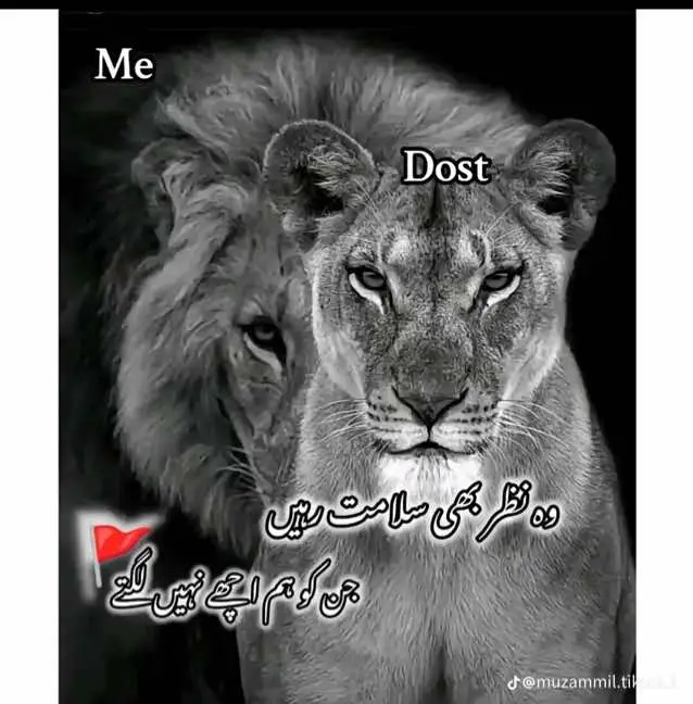 #Ghouri💯👑🥰 
