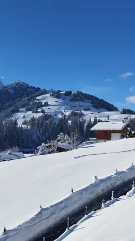 Such a beautiful day! 🌞❄️ 📍 Adelboden, BE 🇨🇭🏔️ #white #alps #swissmountains #switzerland #swiss #viralvideos #viralvideotiktok #swissvillage #adelboden #winter #snow #swissviews #mountain #mountains #madeinbern #bern 