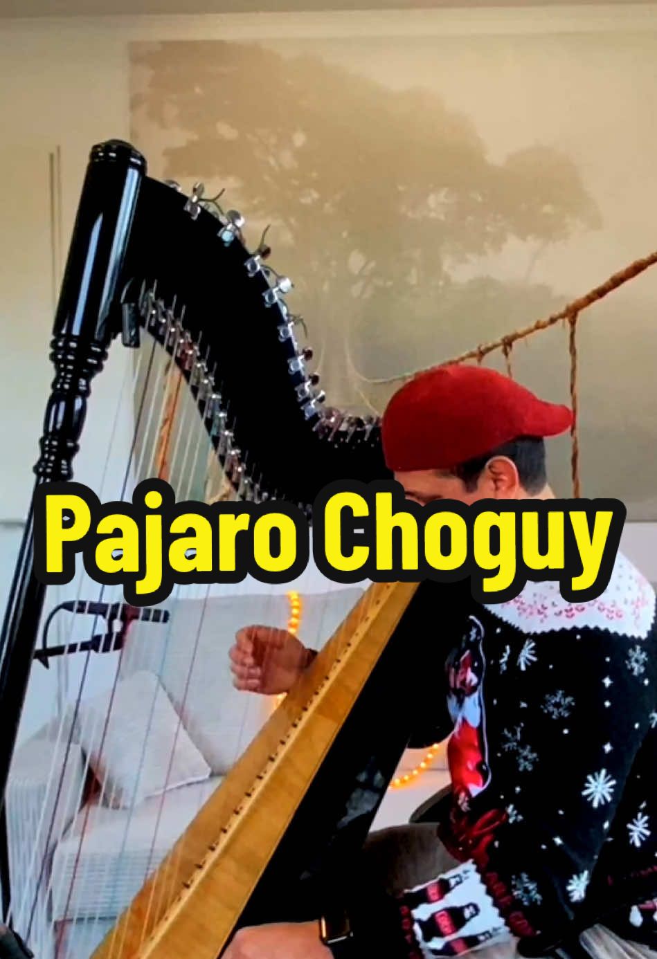 Pajaro Choguy - Guillermo Breer #arpaparaguaya #polcaparaguaya🇵🇾viral #paratiiiiiiiiiiiiiiiiiiiiiiiiiiiiiii