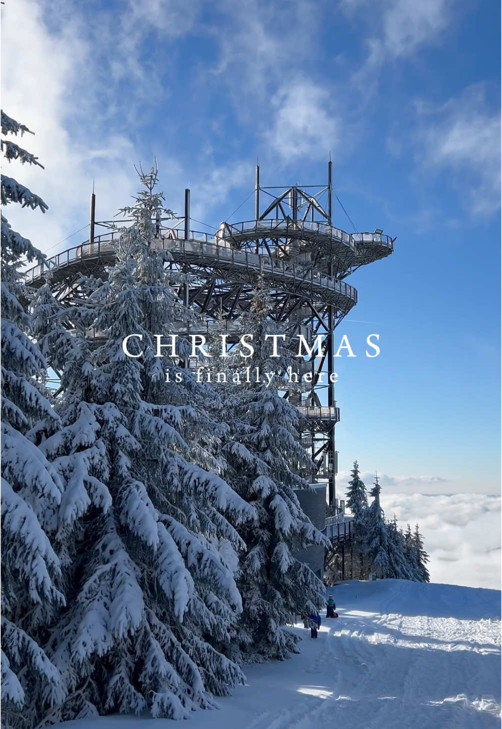 🎄❄️ Merry Christmas ❄️🎄 Wishing you a holiday season filled with joy, adventure, and magical snowy landscapes! 🏔️✨ #CzechHikes #DolniMorava #merrychristmas #WinterMagic #ExploreCzechia