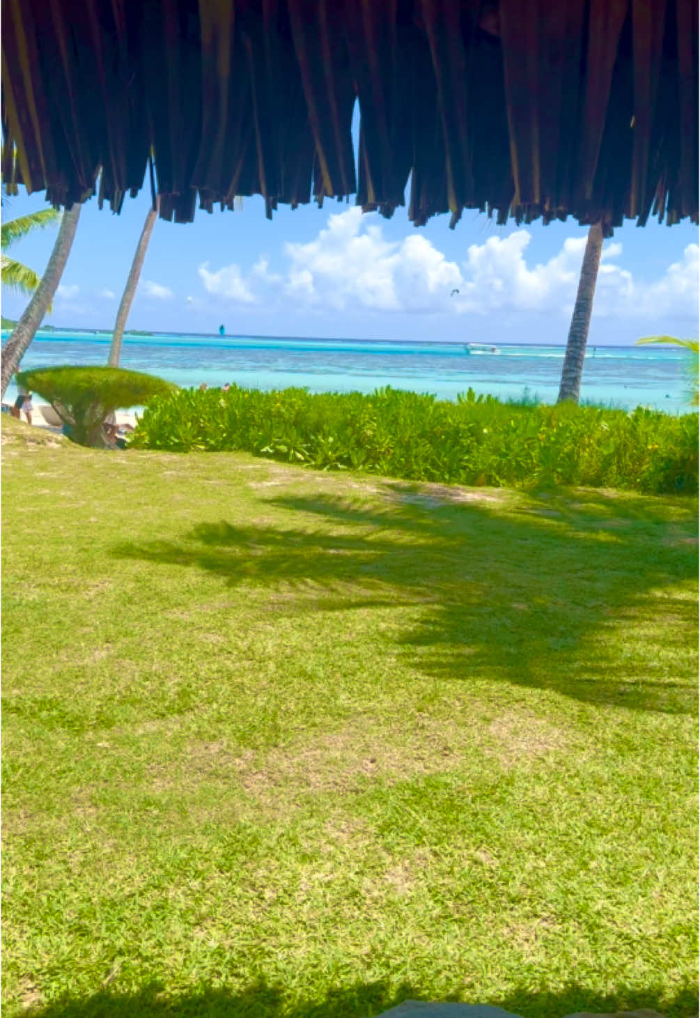 Bungalow avec vue 🥹🌊 #polynesia #polynesian #polynesie #view #beachvibes #moana #eauturquoise #lagoon #bluewater #pacific #ocean #landscape #heavenonearth #nature #hotel #bungalow #vue #paradise #relaxingvideos #beautifuldestinations #frypgシ #fry #viralvideos #goodvibes #traveltok 