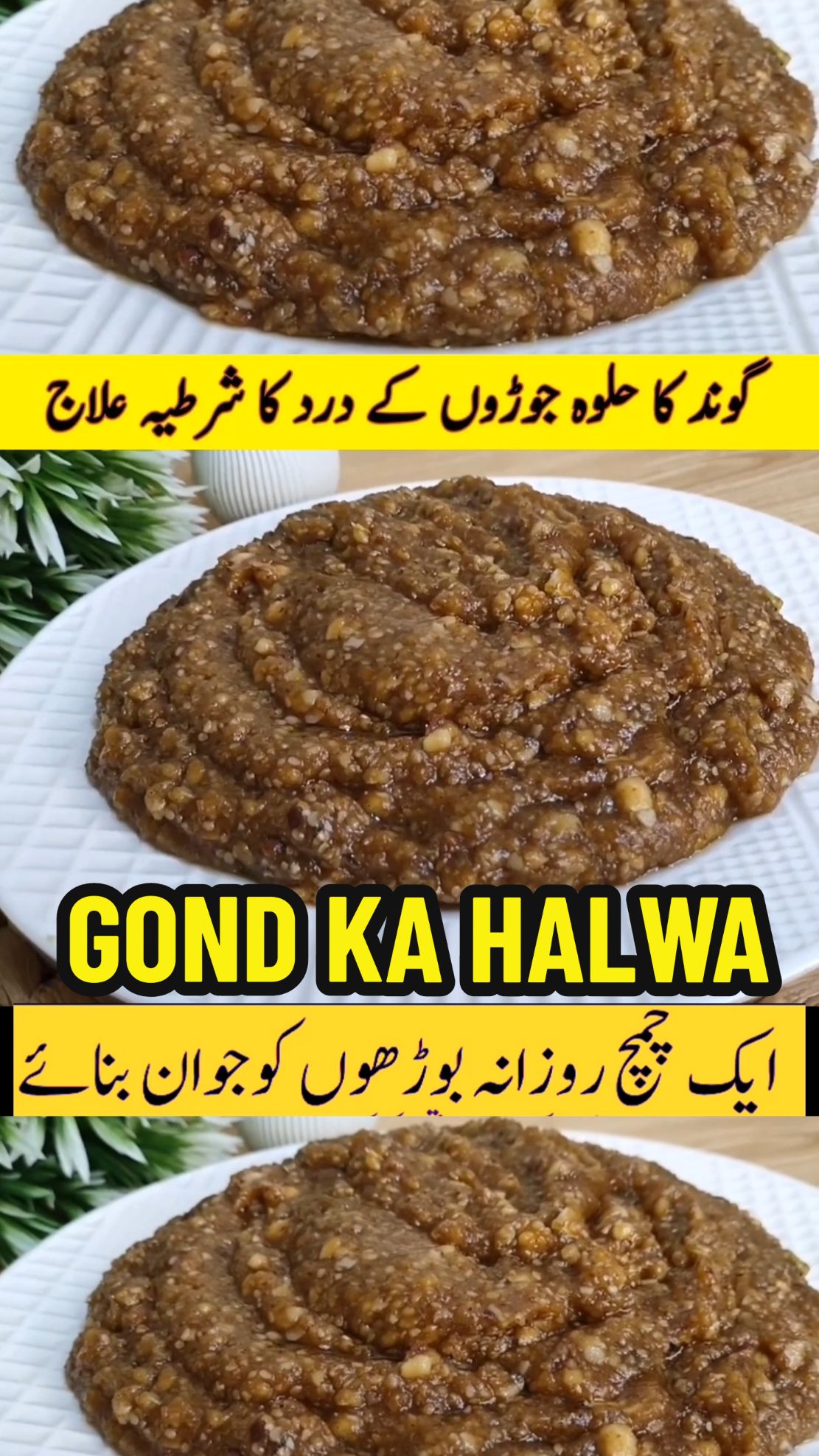 Gond Ka Halwa Recipe ❤️ #viral #fyp #foryou #easyiftarrecipes #foryoupage #fypシ #fypage #tiktokkekhanay #pakistanicookingrecipes #pakistanirecipes #bestcookingrecipes #bestcookingtiktoks #easycookingideas #halwa #kheer 