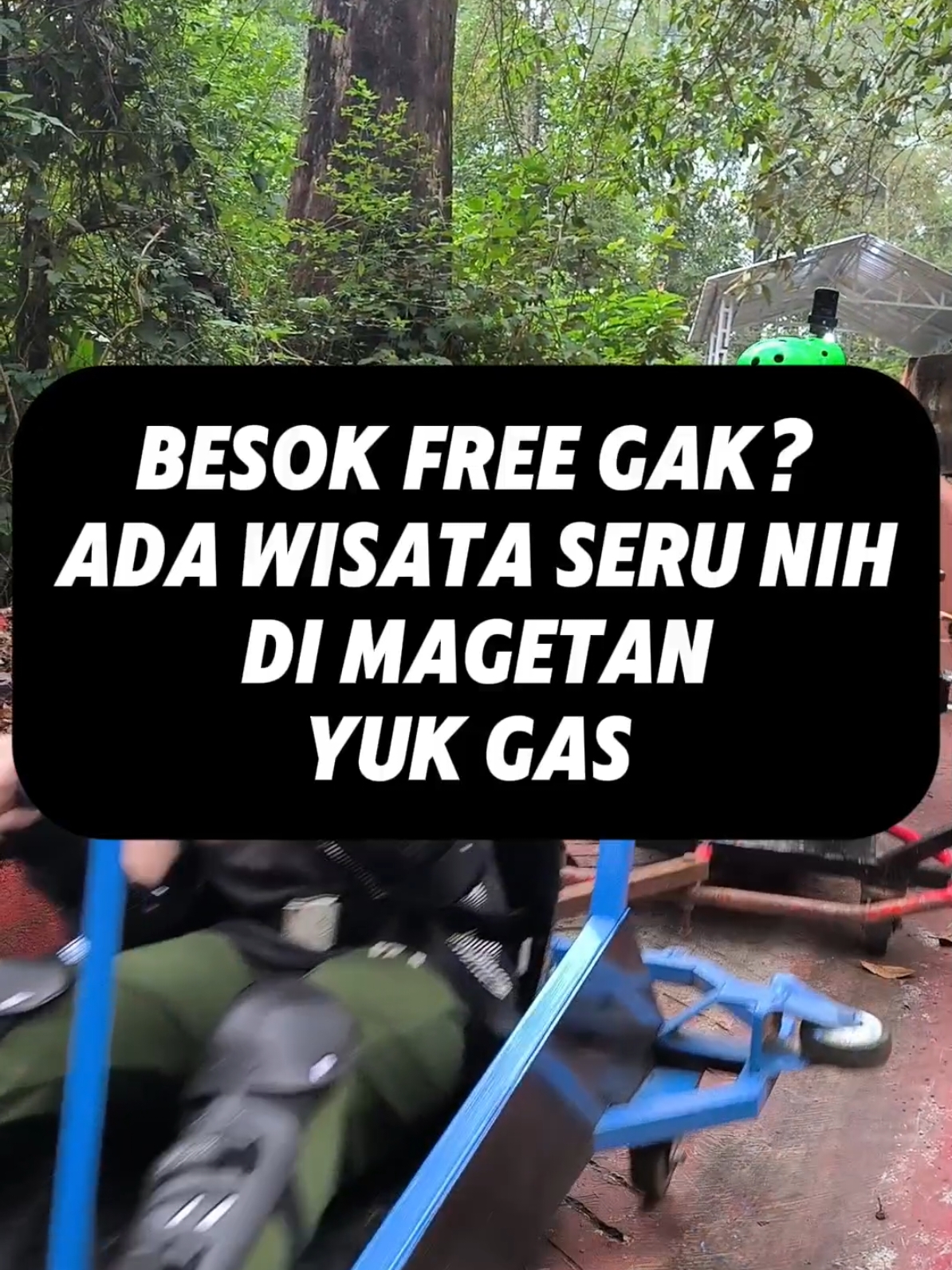 free dong yuk