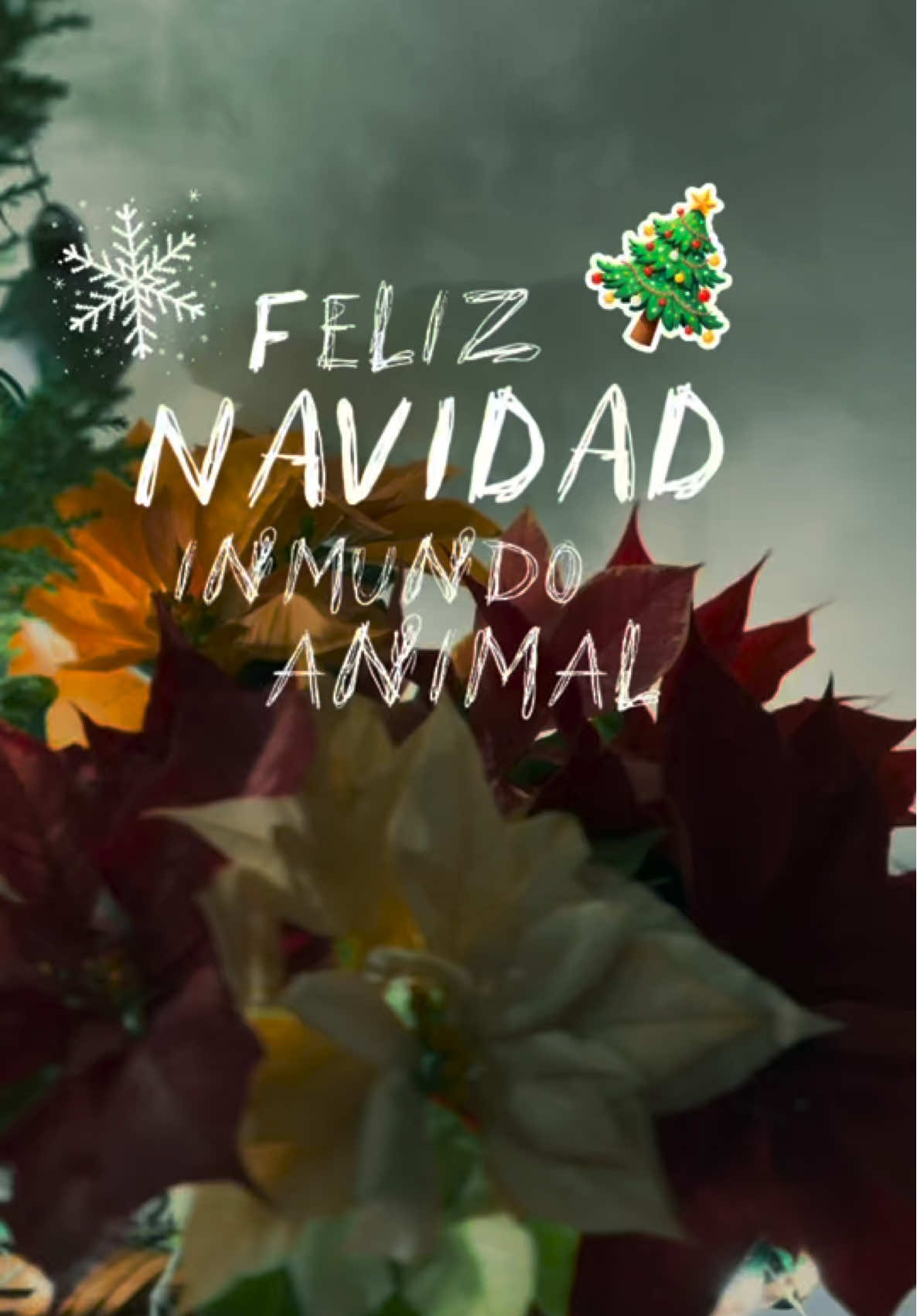 Feliz navidad! #CapCut #feliznavidadinmundoanimal #yfelizañonuevo #fyp #ranitalila #chocomatis #mopobreangelito