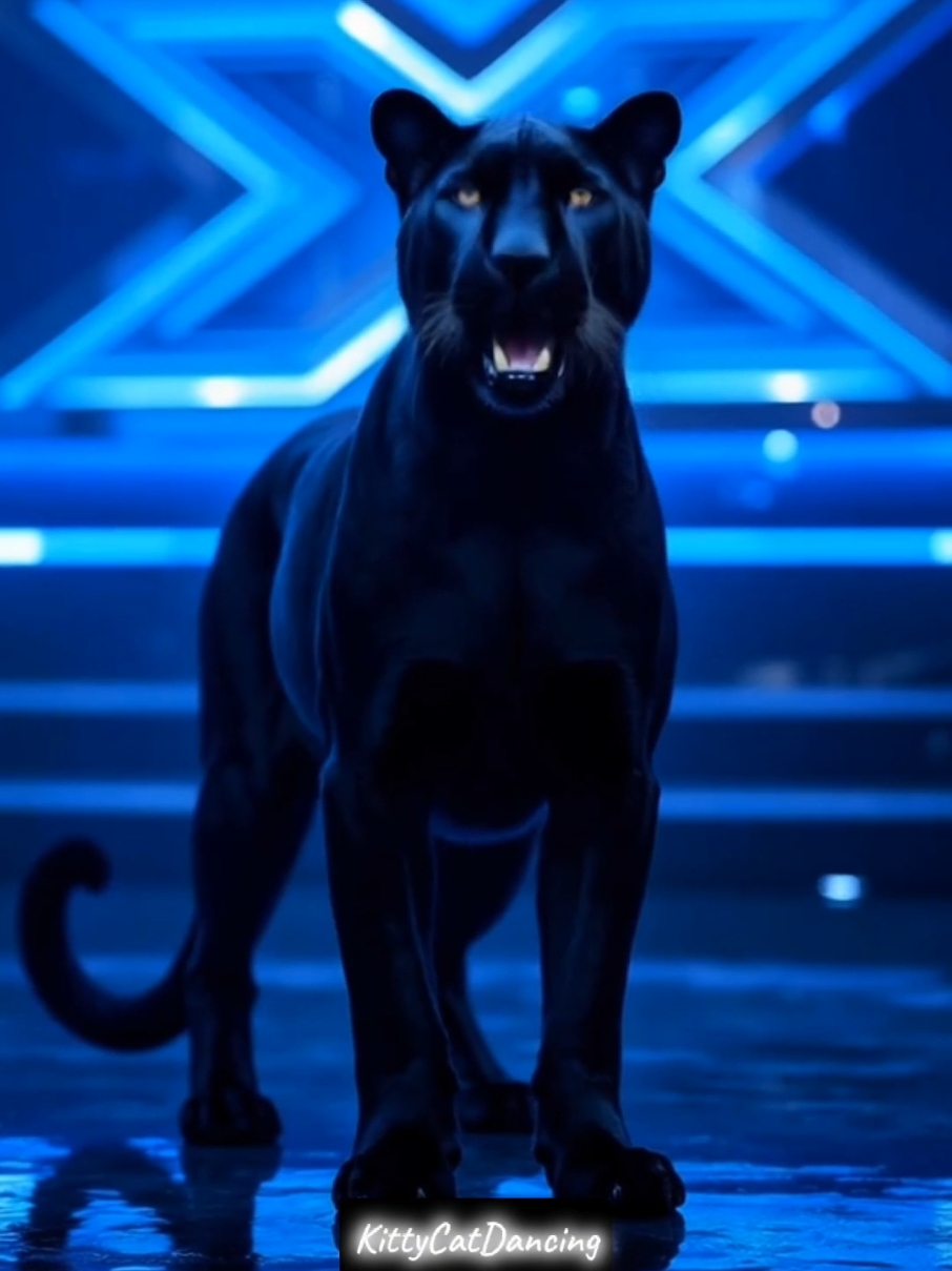 Unbelievable woman transformation with a black panther #americasgottalent #blackpanther #tiger #ViralTrend #fusion #animal #TikTokMagic #transformation #ai #kittycatdancin @KittyCatDancing @KittyCatDancing 