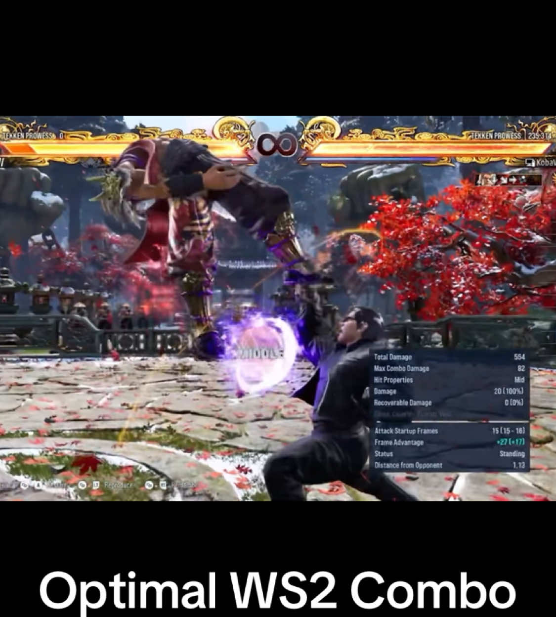 Paul Phoenix Optimal WS2 #Combo #tekken8 #tekken #paulphoenix #shorts #ytshorts #fgc #trending #tekkencombos #gaming #gameplay #bandainamco #new #pcgaming #pc #steam 