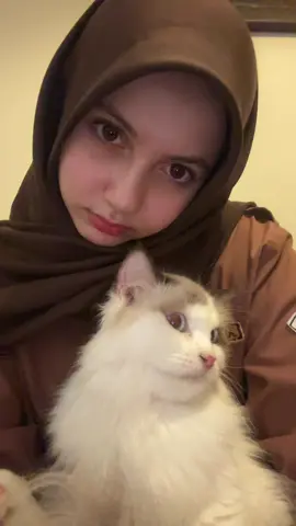 mencari cara untuk kabur ini guys
