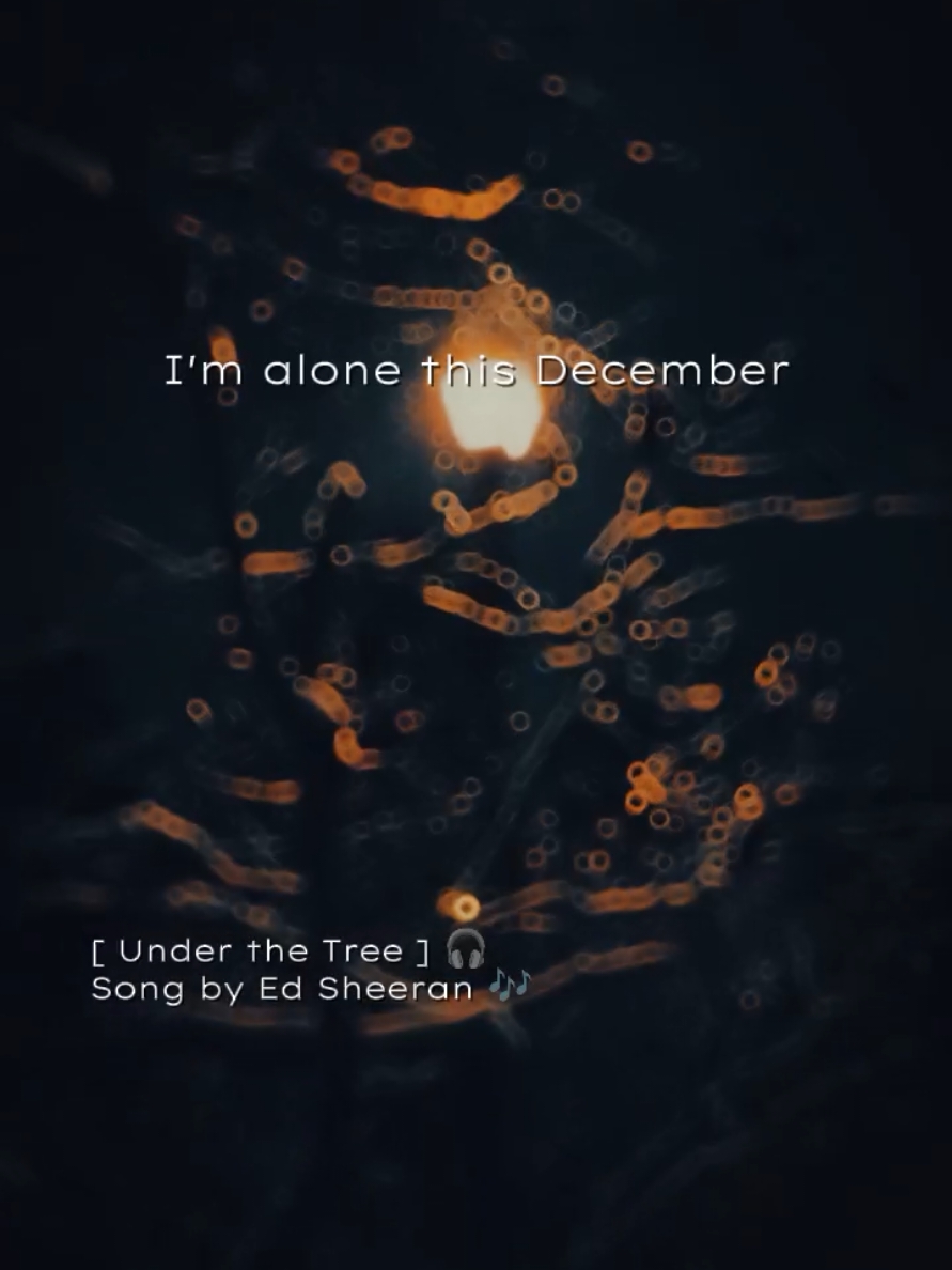 🎧Under the Tree 🎄 Song by Ed Sheeran🎶⭐ #underthetree #edsheeran #trendingsong #viralsongs #musictrends #lyrics #fyp #lyrics_songs 