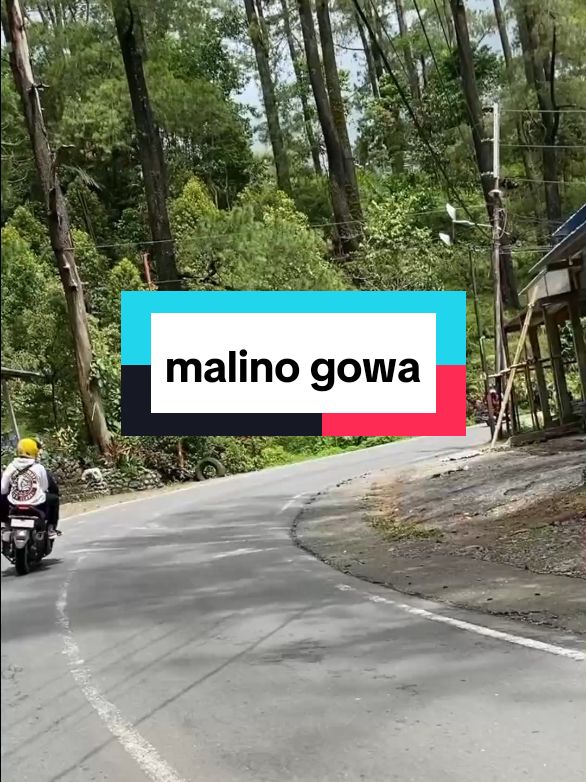 suka sekali jalan jalan daerah malino, selain alamnya masih terjaga keasriannya, jalannya juga mulus mulus, malino memang istimewa 👍🌳🪴🌱 #malino #kotabunga #gowa #fypシ゚viral #viralvideo #jalanjalan #videoviral 