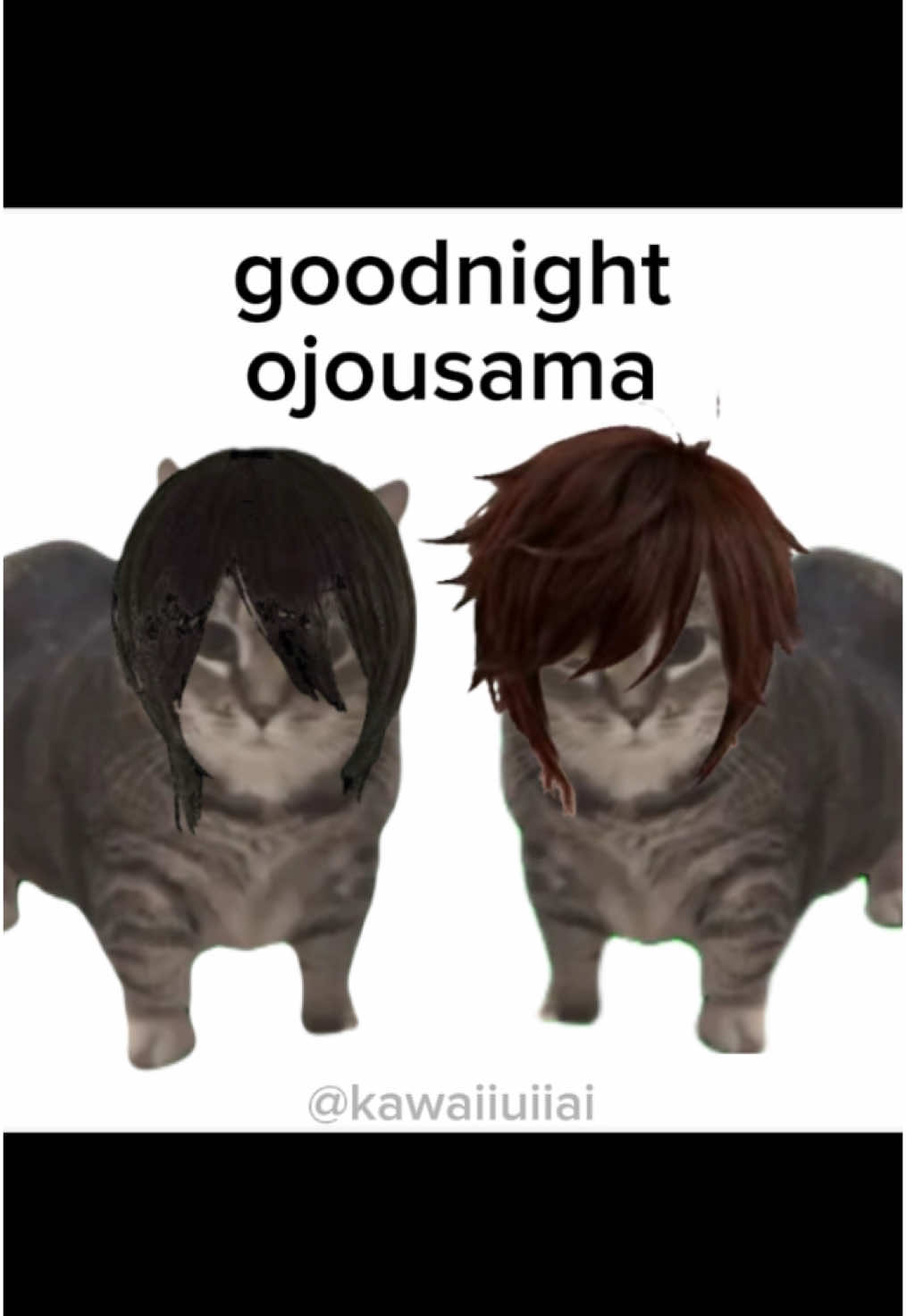 go to bed, ojousama. 😸 U I A U I A U I A U A U I #uiiai #uiiaiouuiiaio #gotobedojousama #ojousama #viral #fyp #trending #cat #catmeme #meme #japan #japanese #japanmeme #entertain #entertainment #lol #funny #idk #whyareyoureadingthis #gotobed #yareyare #viral 