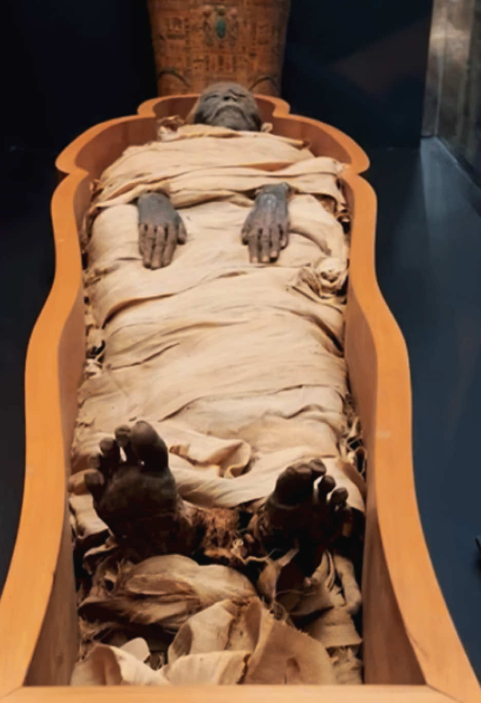 The mummy of Amenirdis I is an important artifact of ancient Egypt. Amenirdis I was a prominent figure during the 25th Dynasty (c. 747–656 BCE), a period when Egypt was ruled by the Nubian or Kushite pharaohs. She held the powerful religious title of “God’s Wife of Amun,” a role that carried immense political and religious influence in Thebes. Key Facts About Amenirdis I: 	1.	Title and Role: 	•	As “God’s Wife of Amun,” she served as a chief priestess in the Theban religious cult centered on Amun, the chief deity of the time. This position allowed her to wield significant political power. 	2.	Background: 	•	She was the daughter of King Kashta and the sister of Piye (Piankhi), both important Kushite rulers. 	•	Her role helped solidify Kushite control over Upper Egypt by integrating into the religious hierarchy of Thebes. 	3.	Mummy and Burial: 	•	Her mummy was discovered in a burial fitting her high status, likely in Medinet Habu, Thebes. 	•	Her tomb and funerary artifacts reflect the wealth and importance of her position. 	•	Amenirdis I’s burial followed the traditional Egyptian funerary customs, with intricate coffins, amulets, and inscriptions to ensure her journey to the afterlife. 	4.	Art and Inscriptions: 	•	Amenirdis I is depicted in temple reliefs and inscriptions, such as those at Karnak and Medinet Habu. These show her in ceremonial dress, emphasizing her religious authority. 	•	Her cartouches and titles are engraved in various locations, symbolizing her divine and political status. The discovery of her mummy and associated artifacts contributes to our understanding of the fusion of Nubian and Egyptian traditions during the 25th Dynasty. The mummy of Amenirdis is currently displayed in the Vatican Museums, specifically in the Gregorian Egyptian Museum. #history #dji #rome #osmomobile6 #roma #vaticano #vaticanmuseums #mummy #egypt #ancientegypt #ancientqueen #queen 