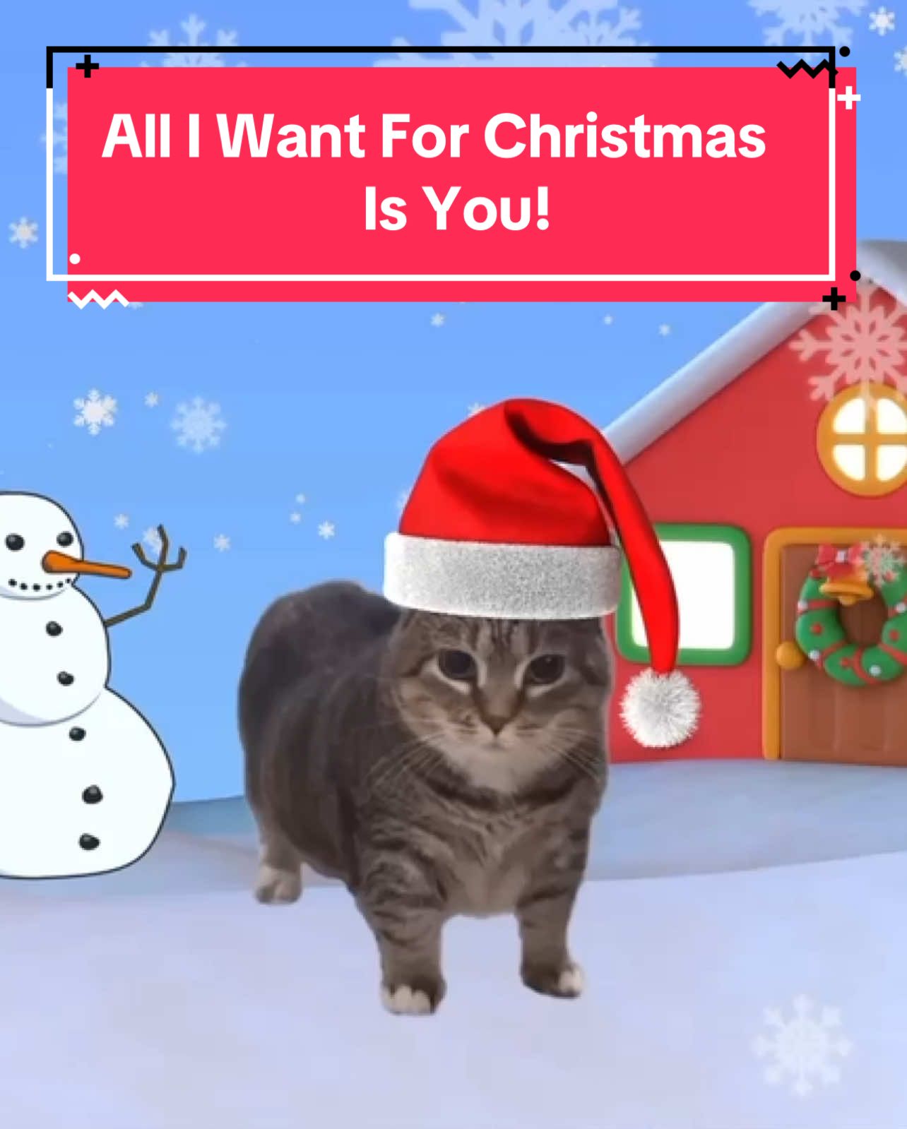 OIA Cat Sings All I Want For Christmas Is You! #cats #catsoftiktok 