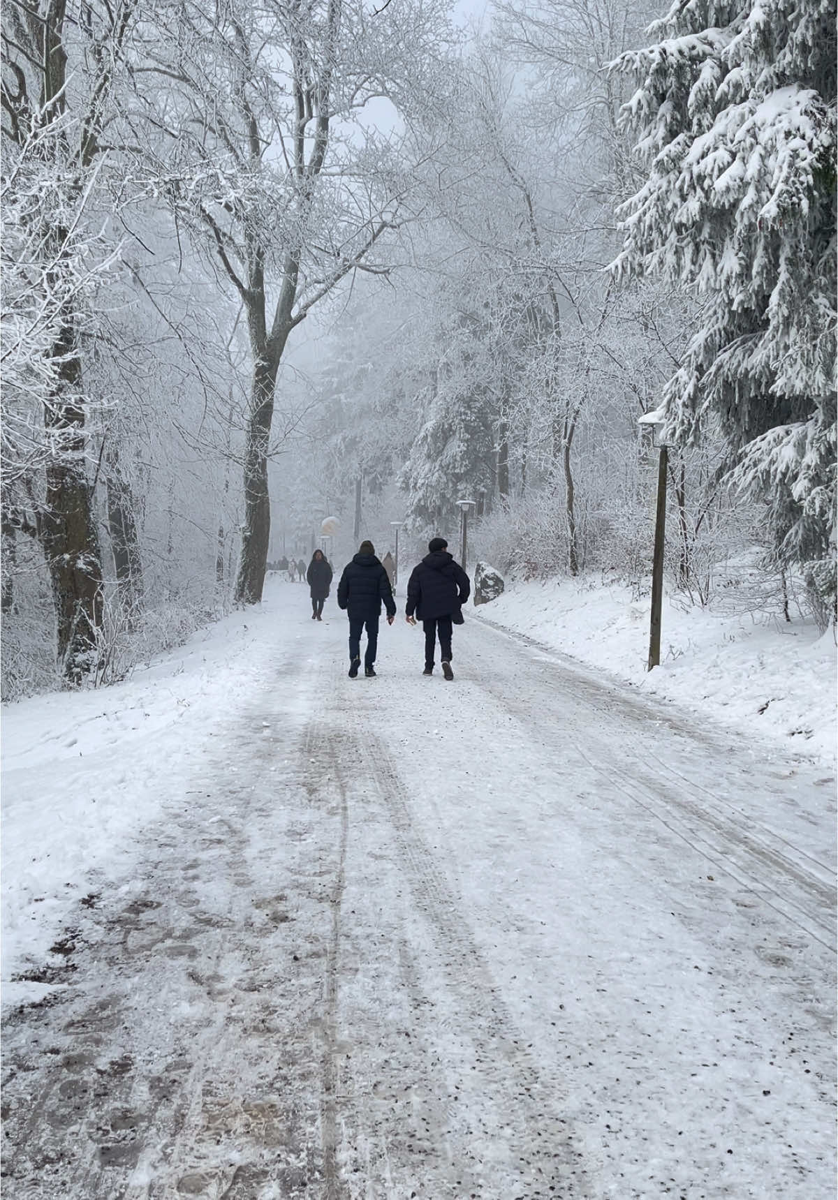 📍🎄Zürich Switzerland 🇨🇭 🎄 #uetliberg_zurich 🇨🇭 #snow ❄️❄️🇨🇭 #swipe2engage 🇨🇭🇨🇭