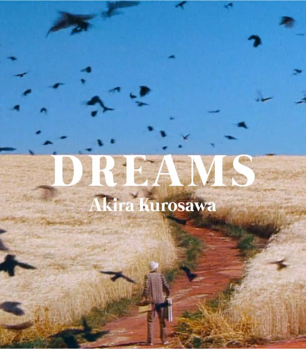 #akirakurosawa #cinema #filmclips #movie #cinematography #dreams 